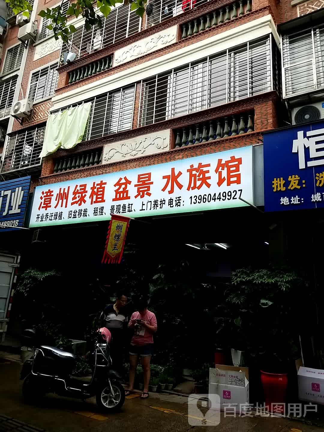 泉州绿植盆景水族馆