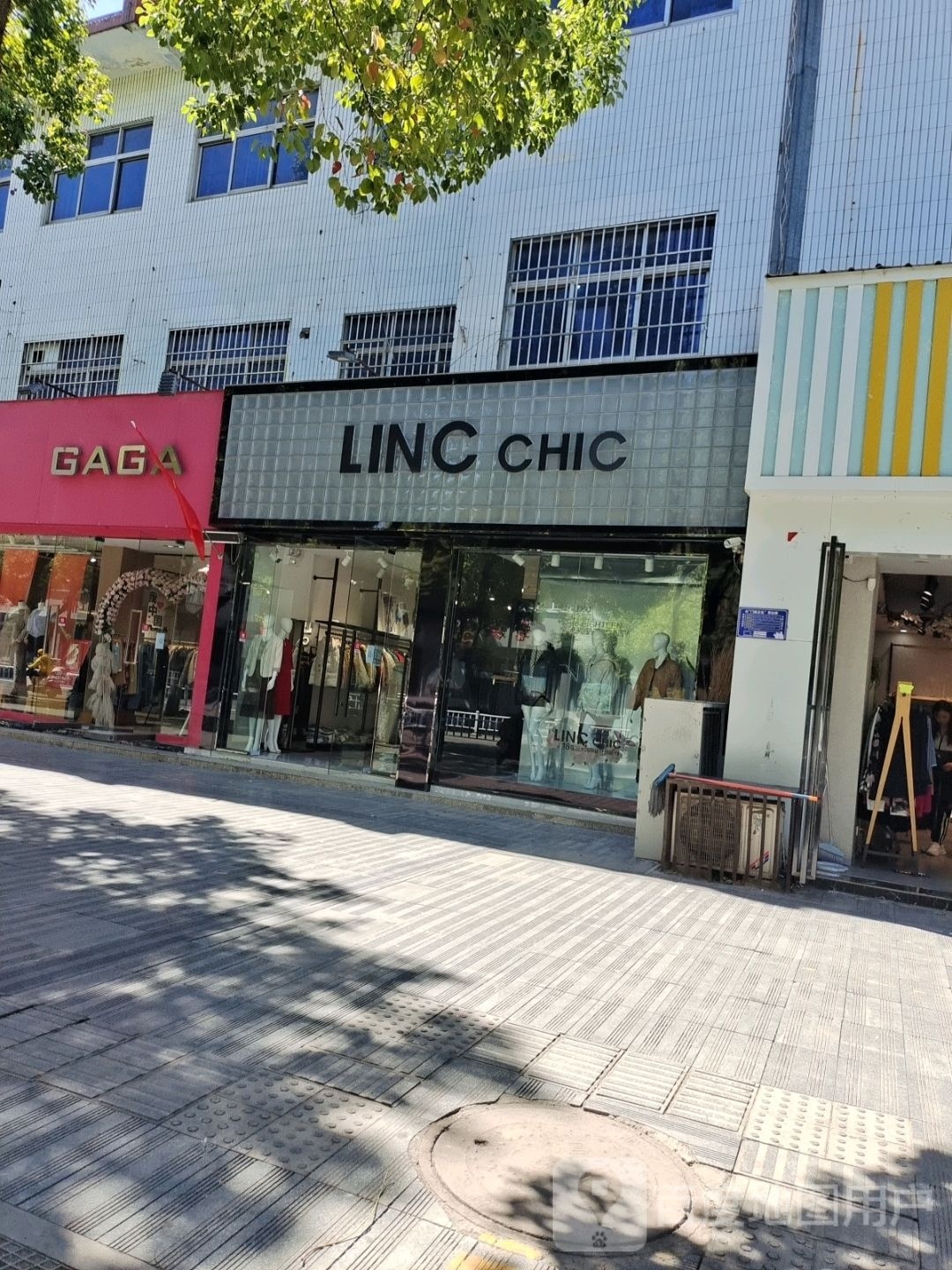 内乡县LINC CHIC