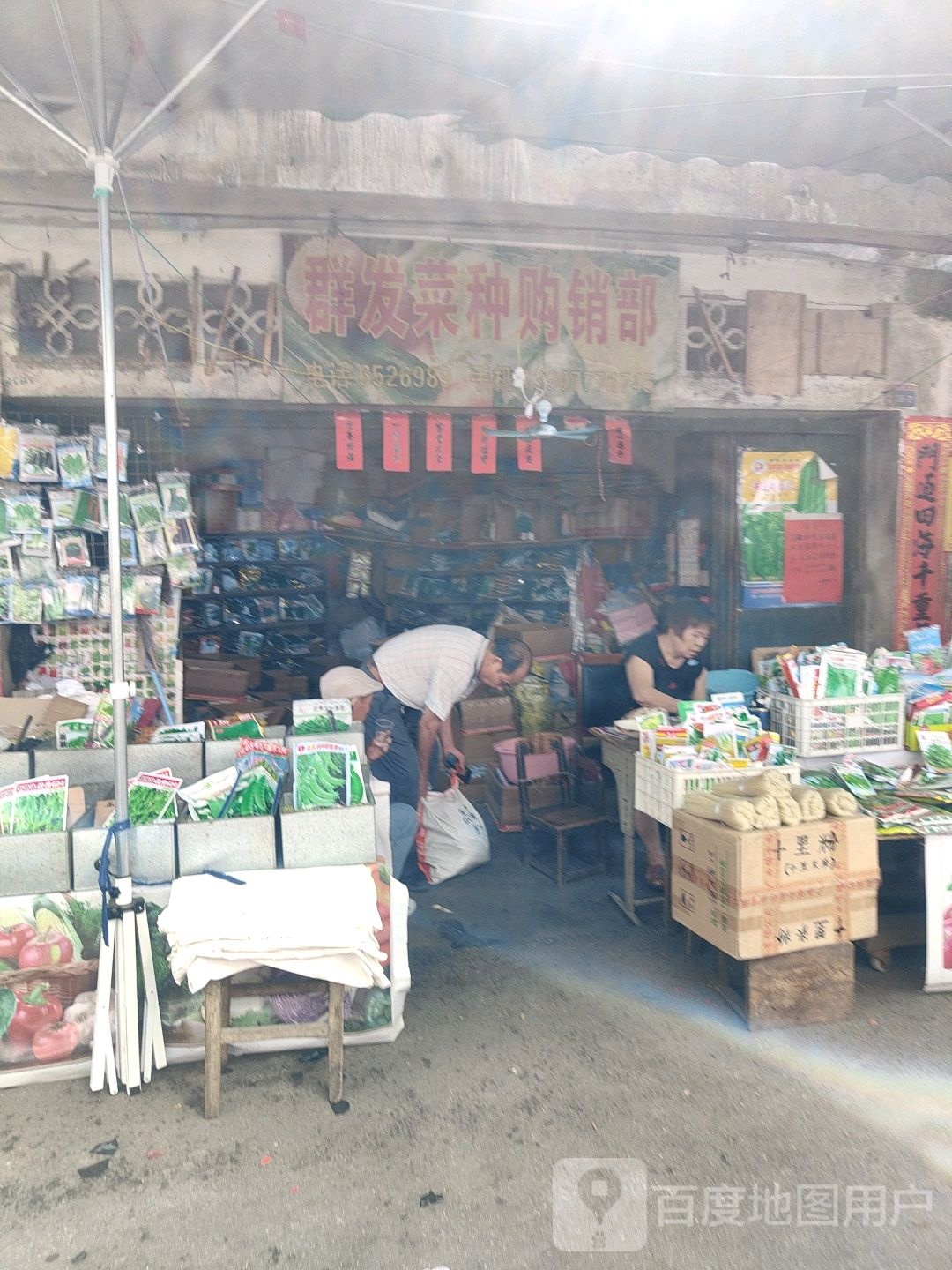 群发菜种购销部