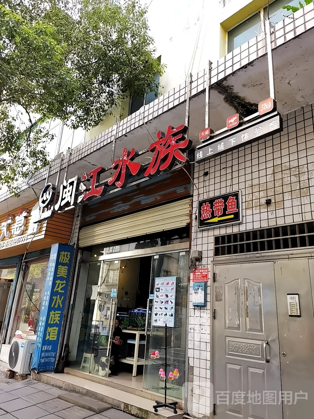 闽海水族(醴陵店)