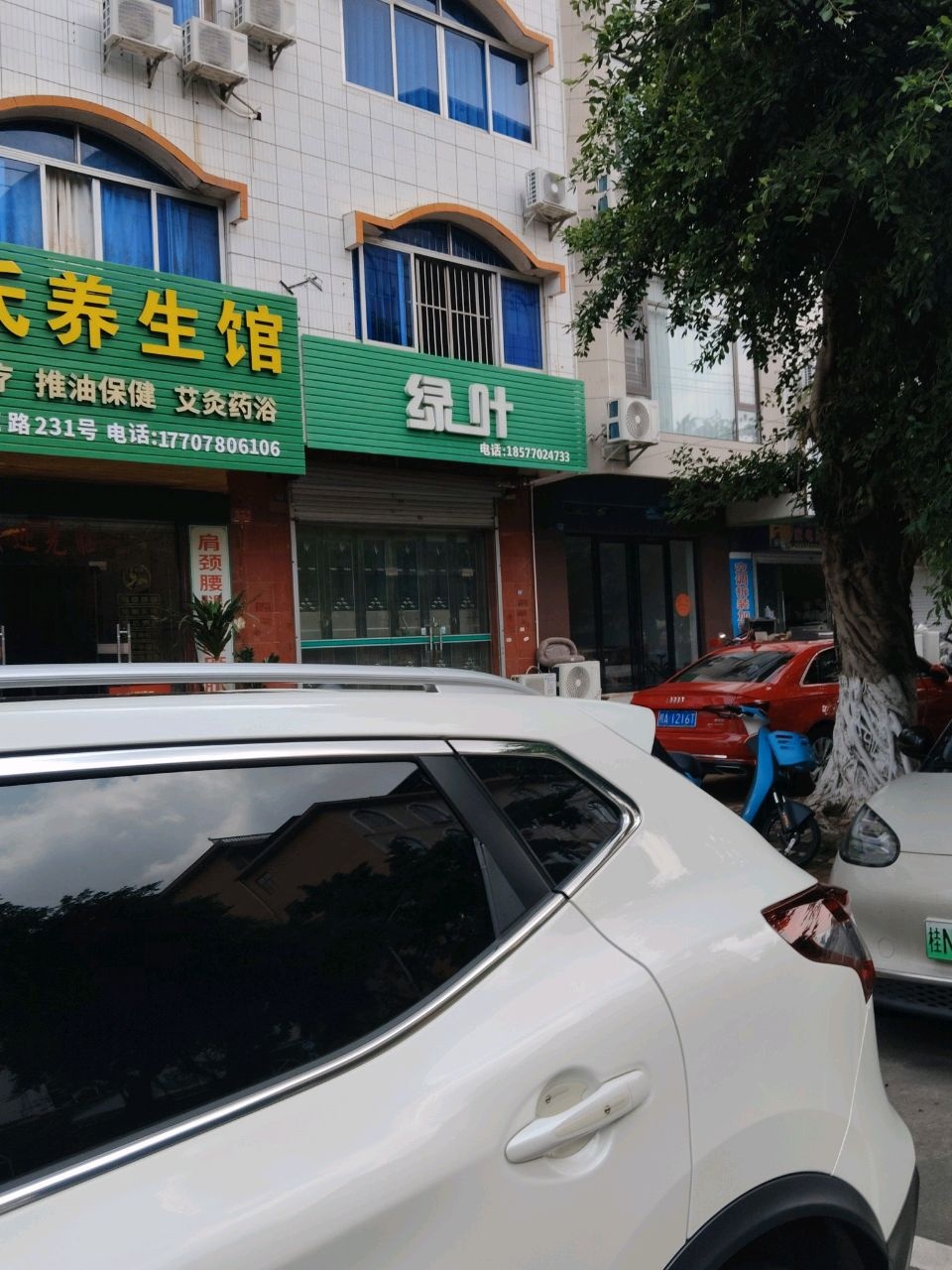 绿叶(兴东路店)