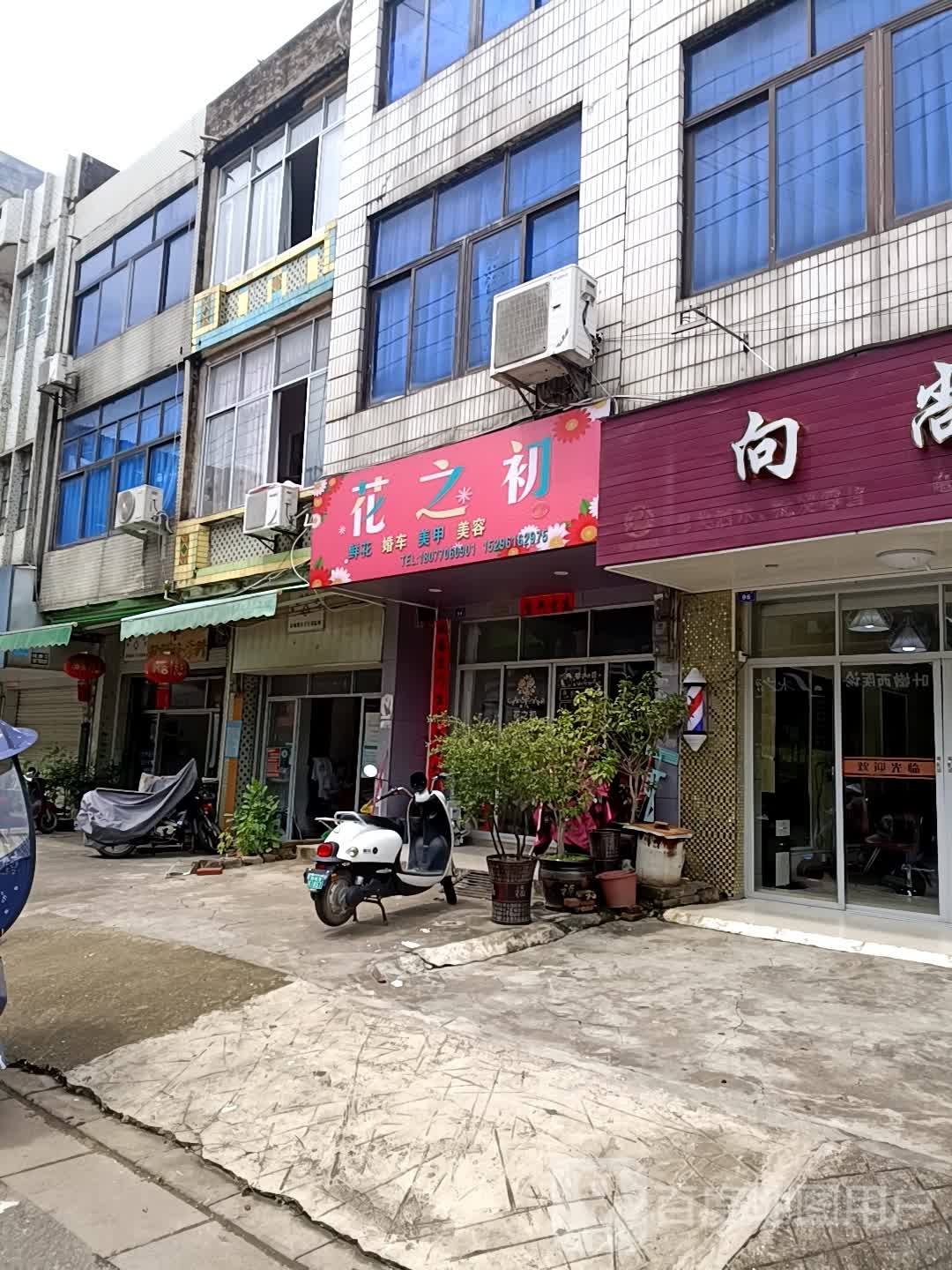 花之初