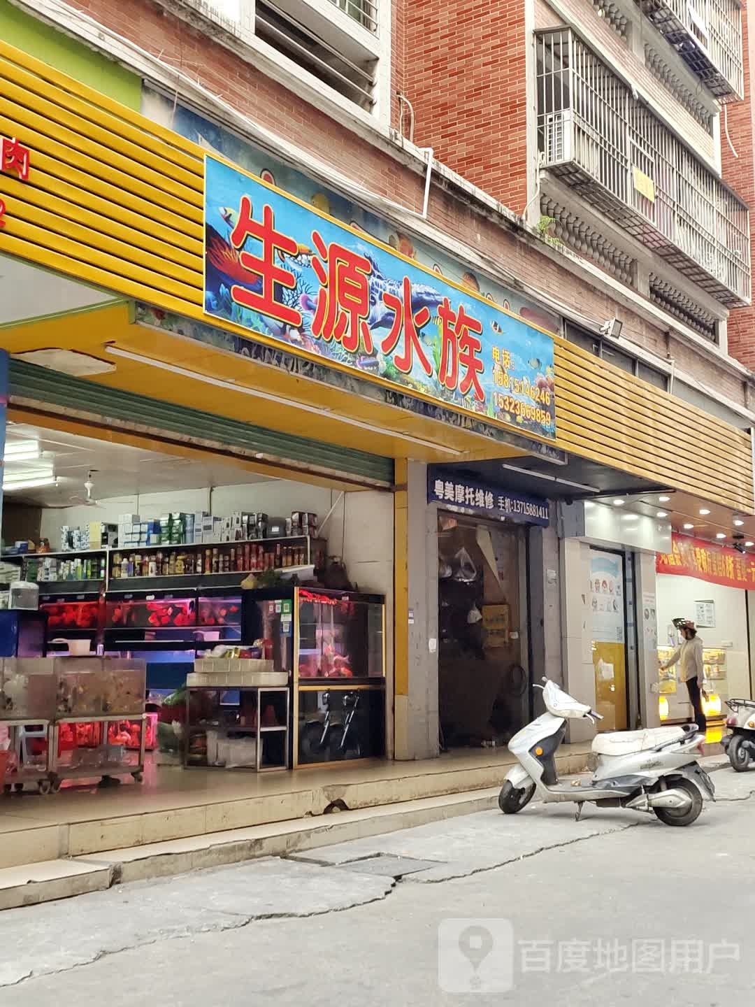 生缘水族