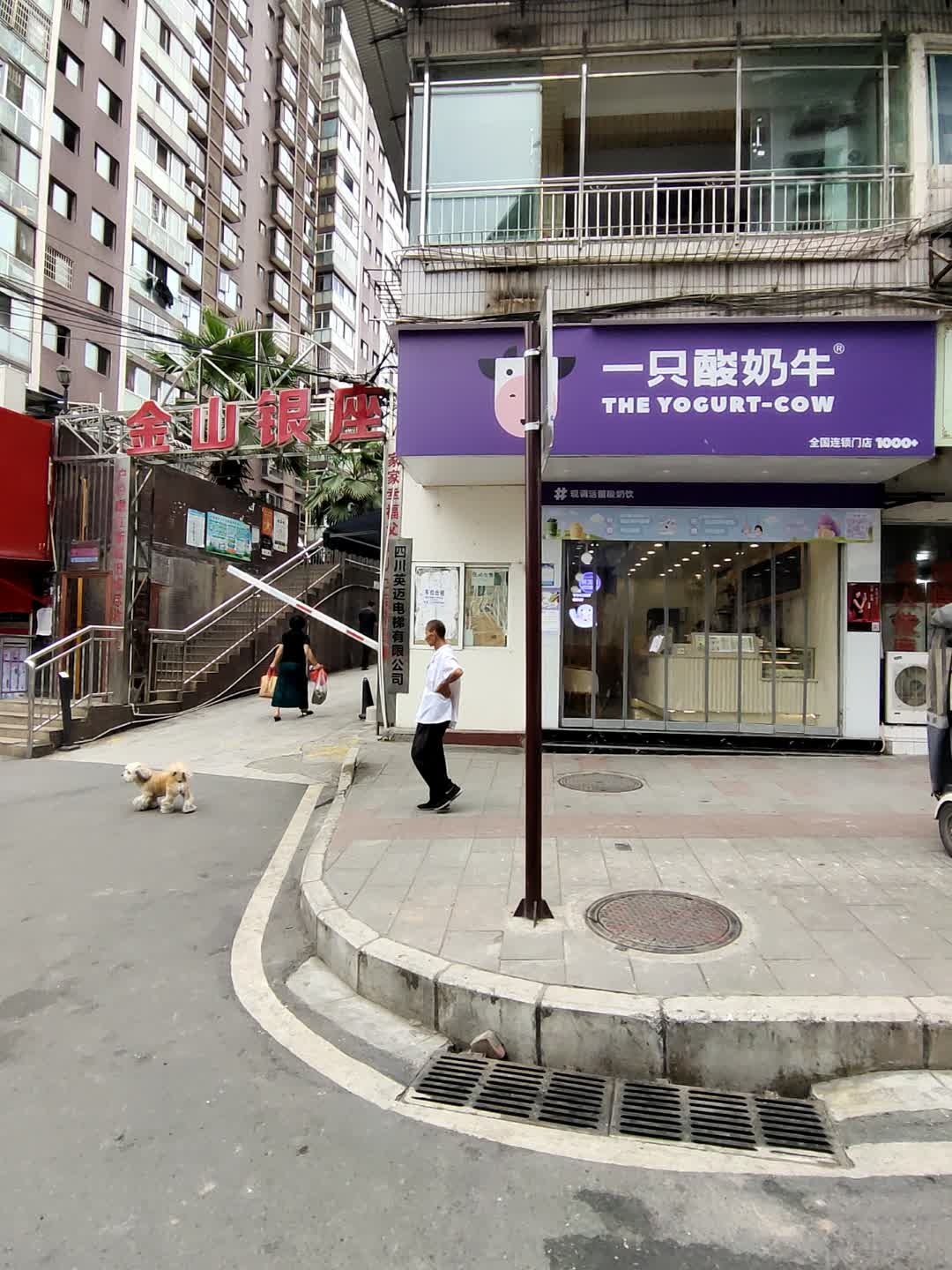 金山银座