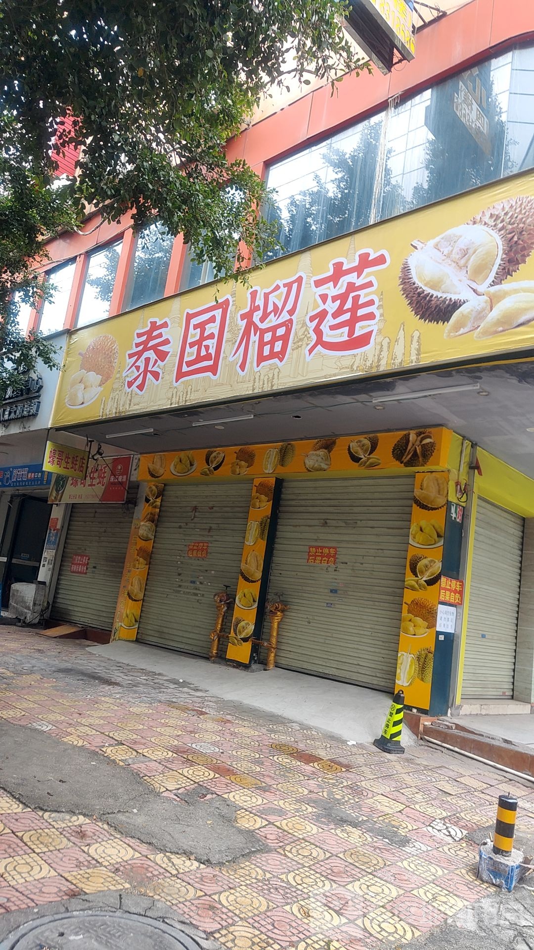 泰国榴莲