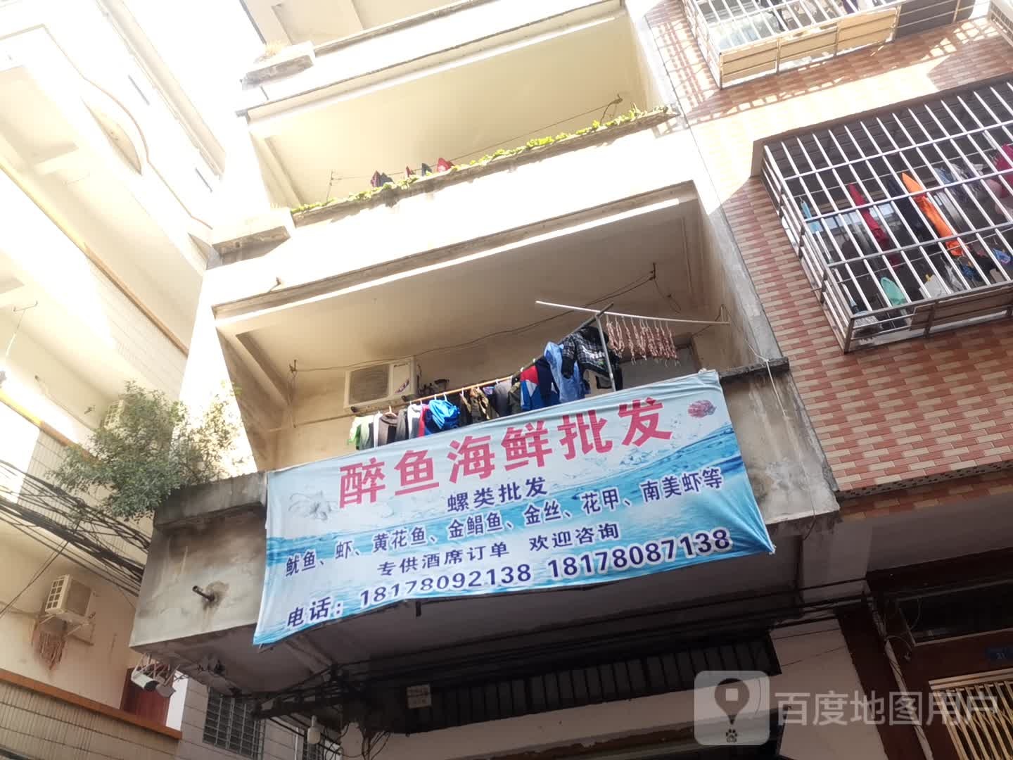 醉海鱼鲜批发