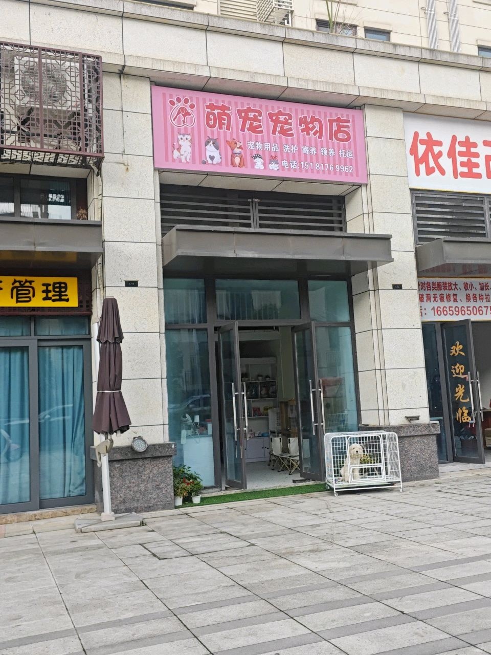 萌宠宠物店