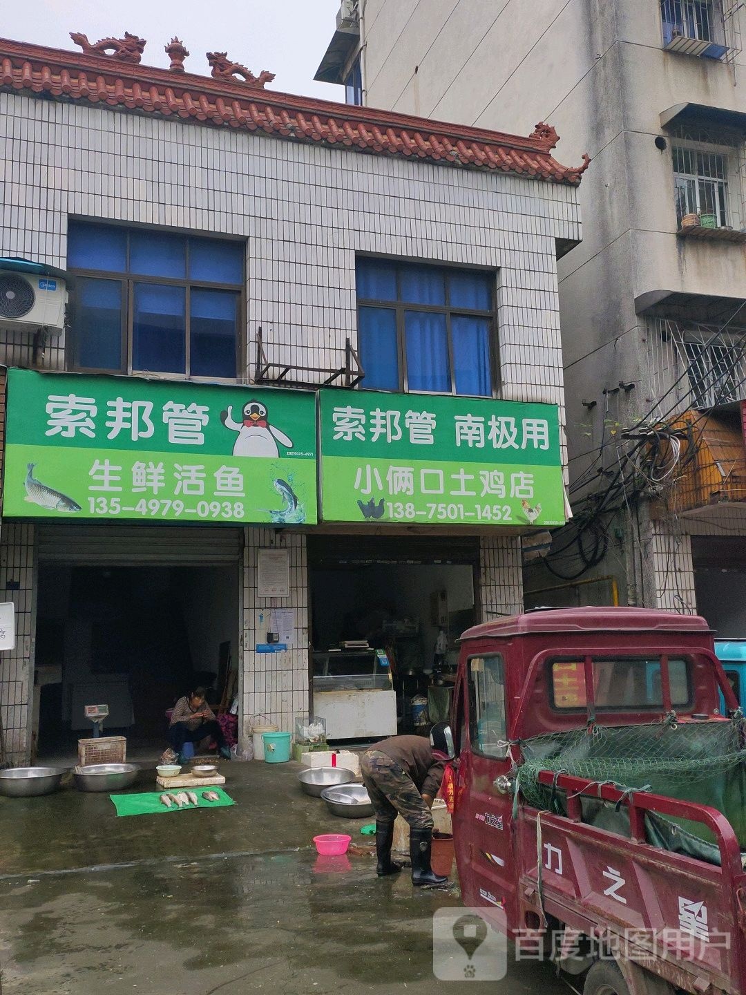 渔生鲜活鱼