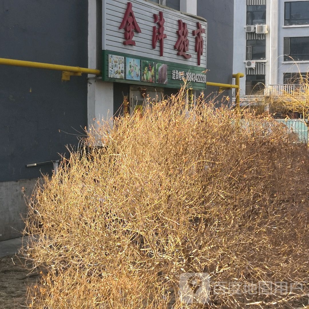 金丰超市