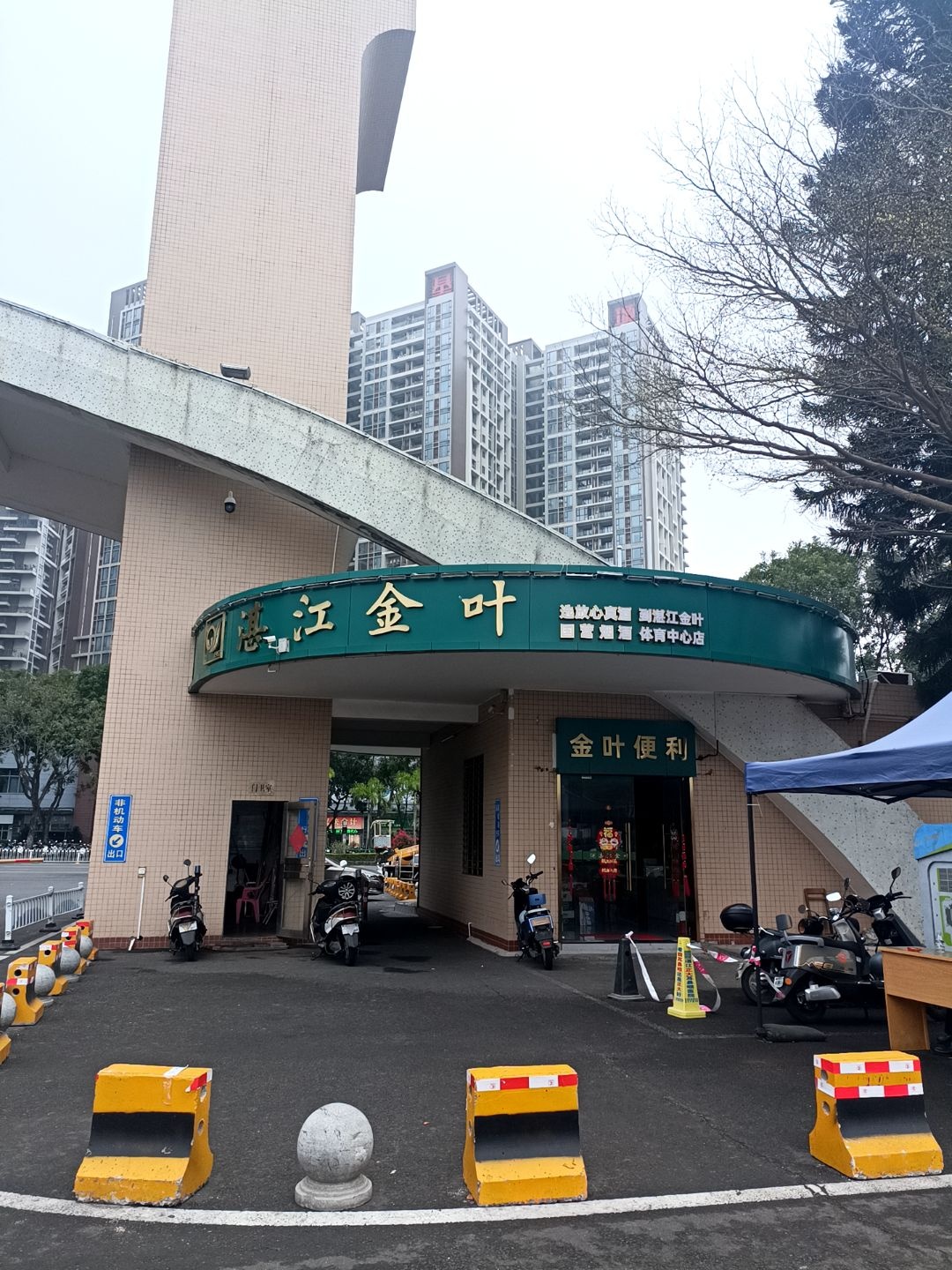 湛江金叶(体育店)