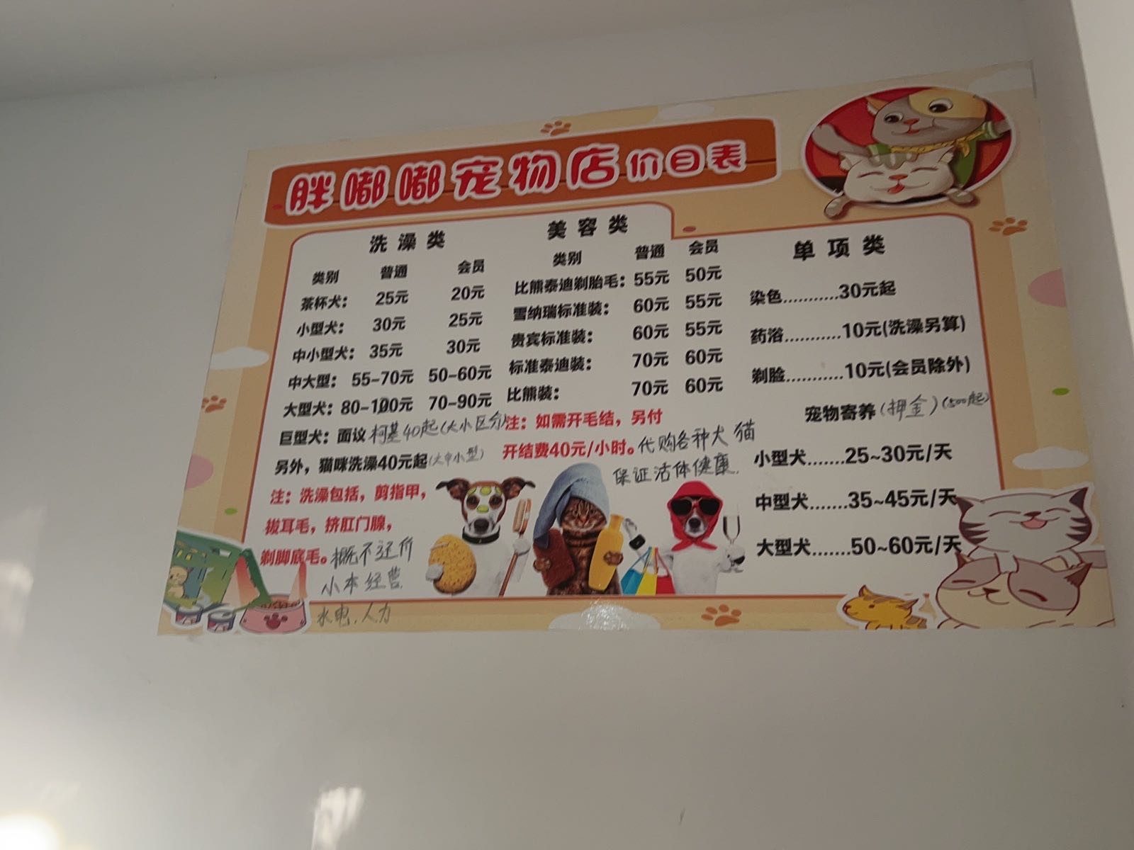 攀枝花市西区胖嘟嘟宠物店