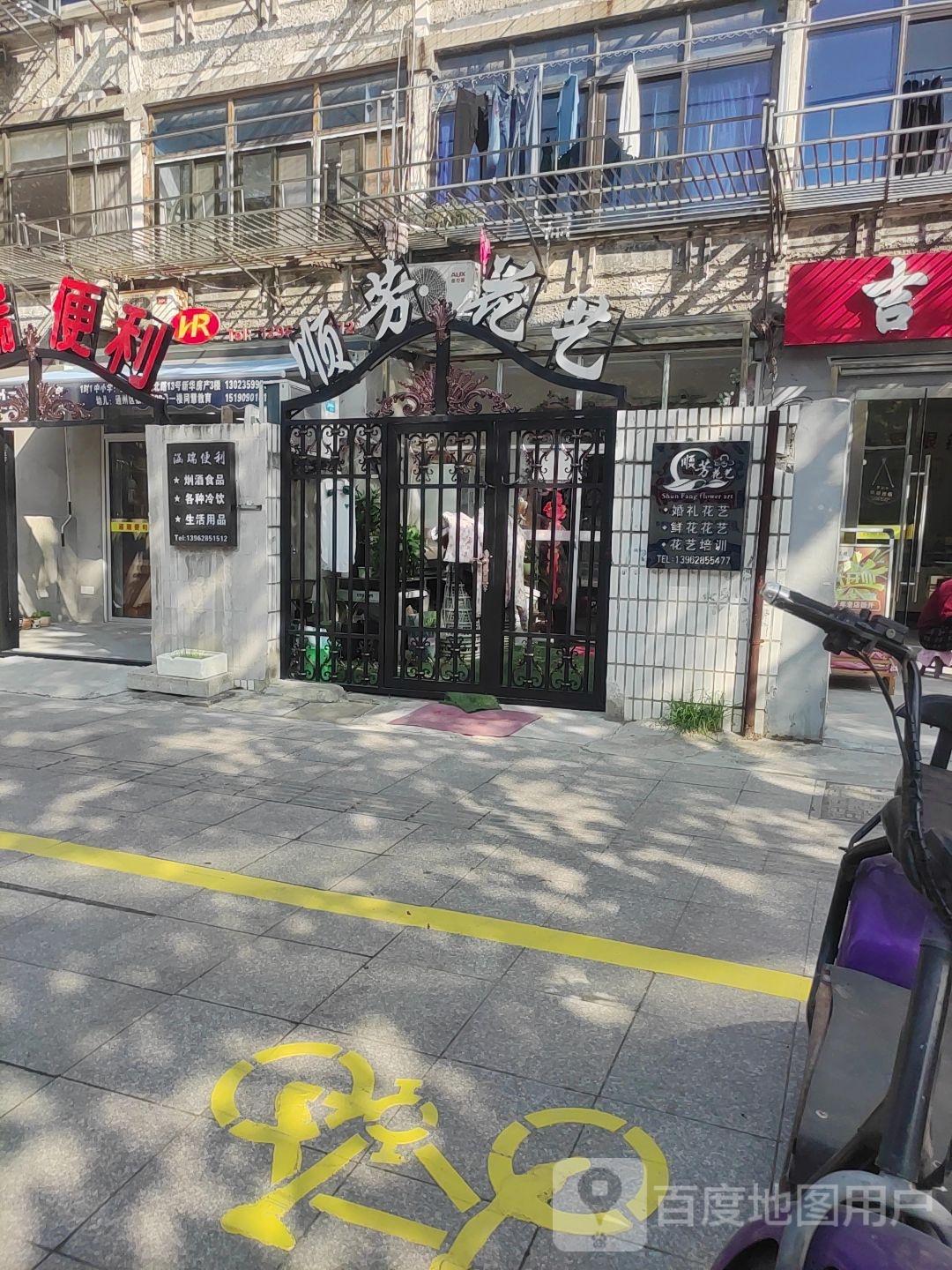 蔷薇花开