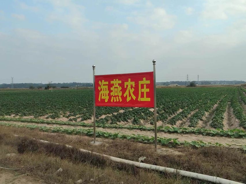 海燕农庄