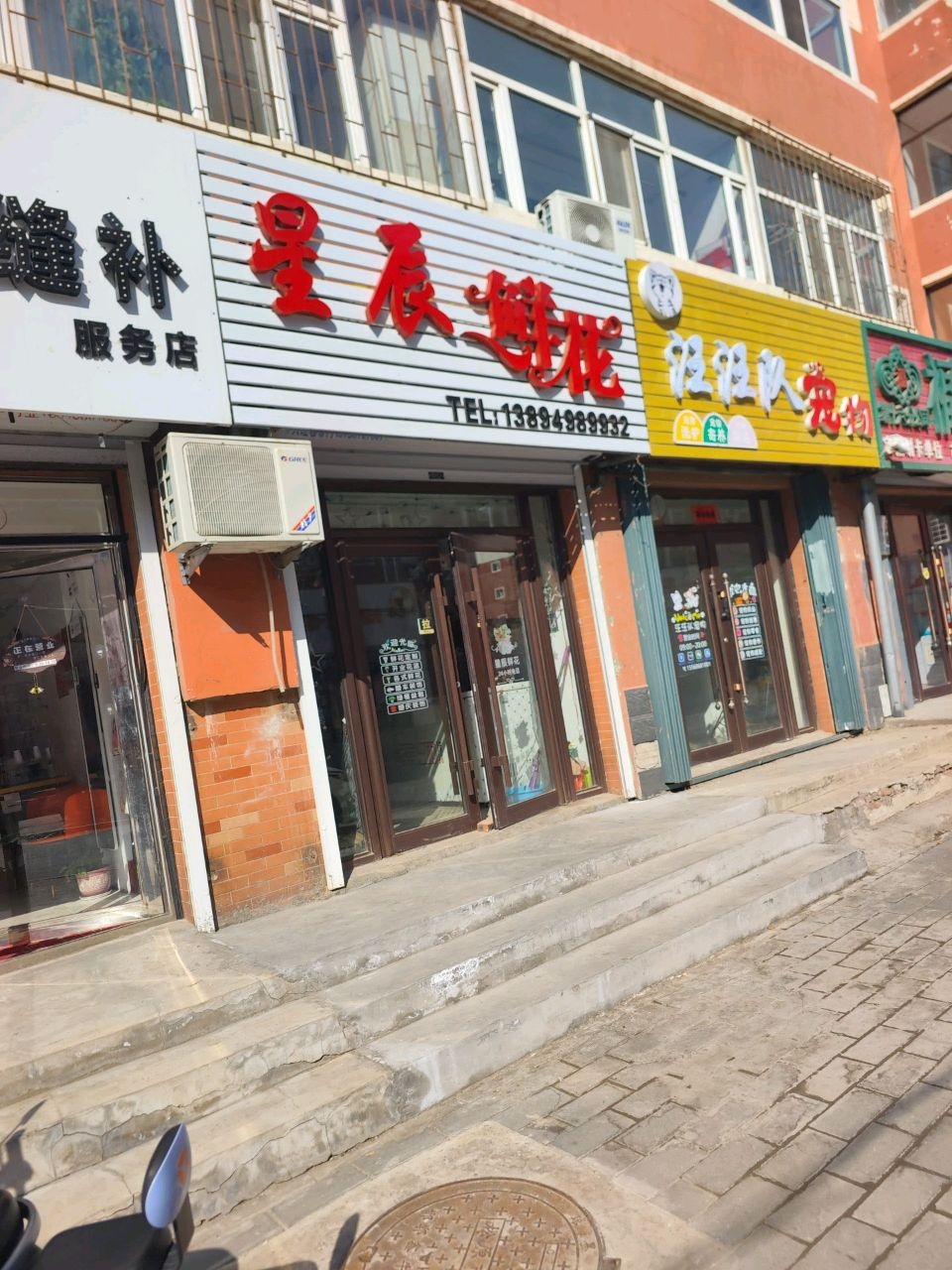 星辰鲜花