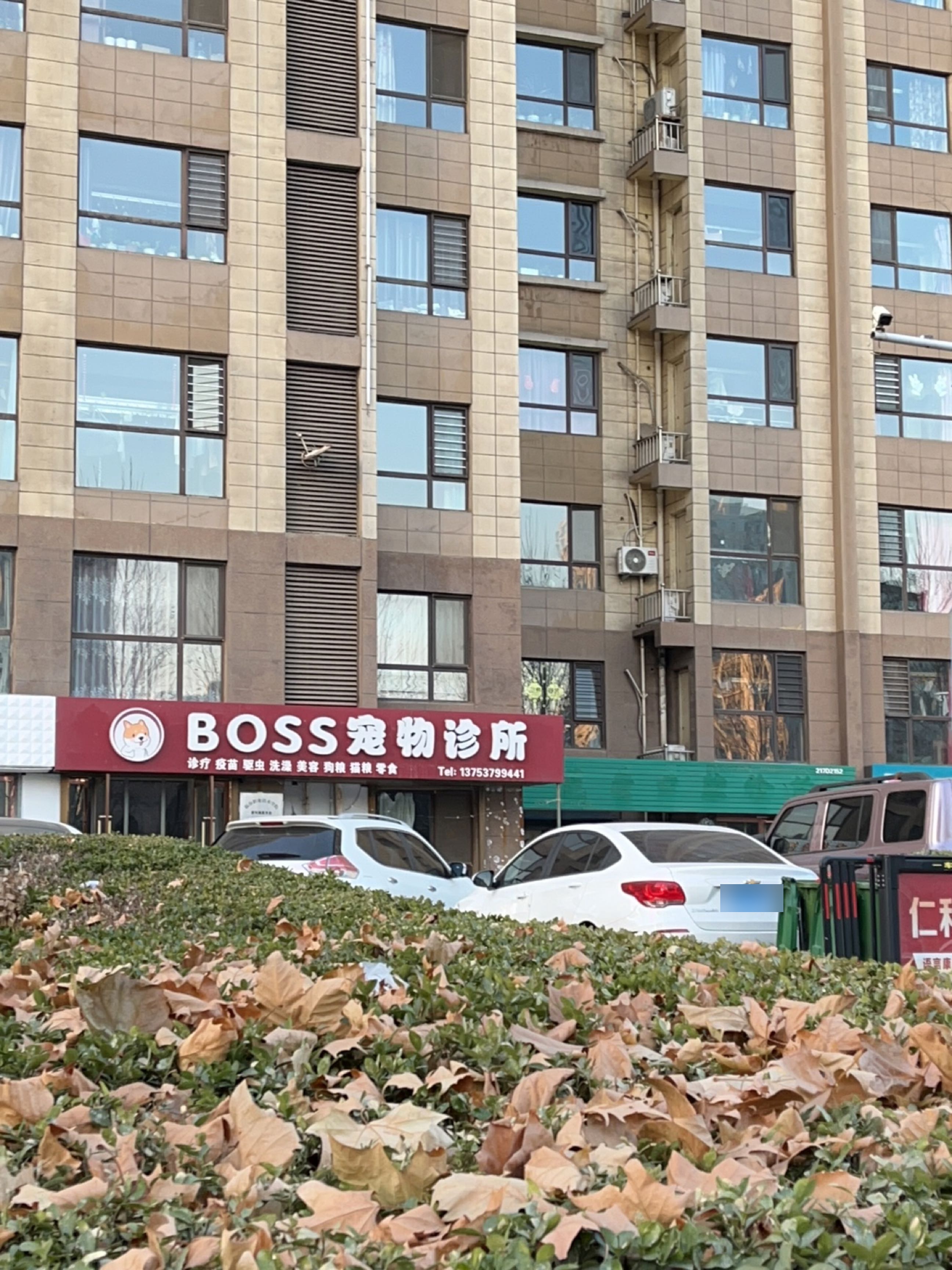 BOSS爱宠宠物诊所