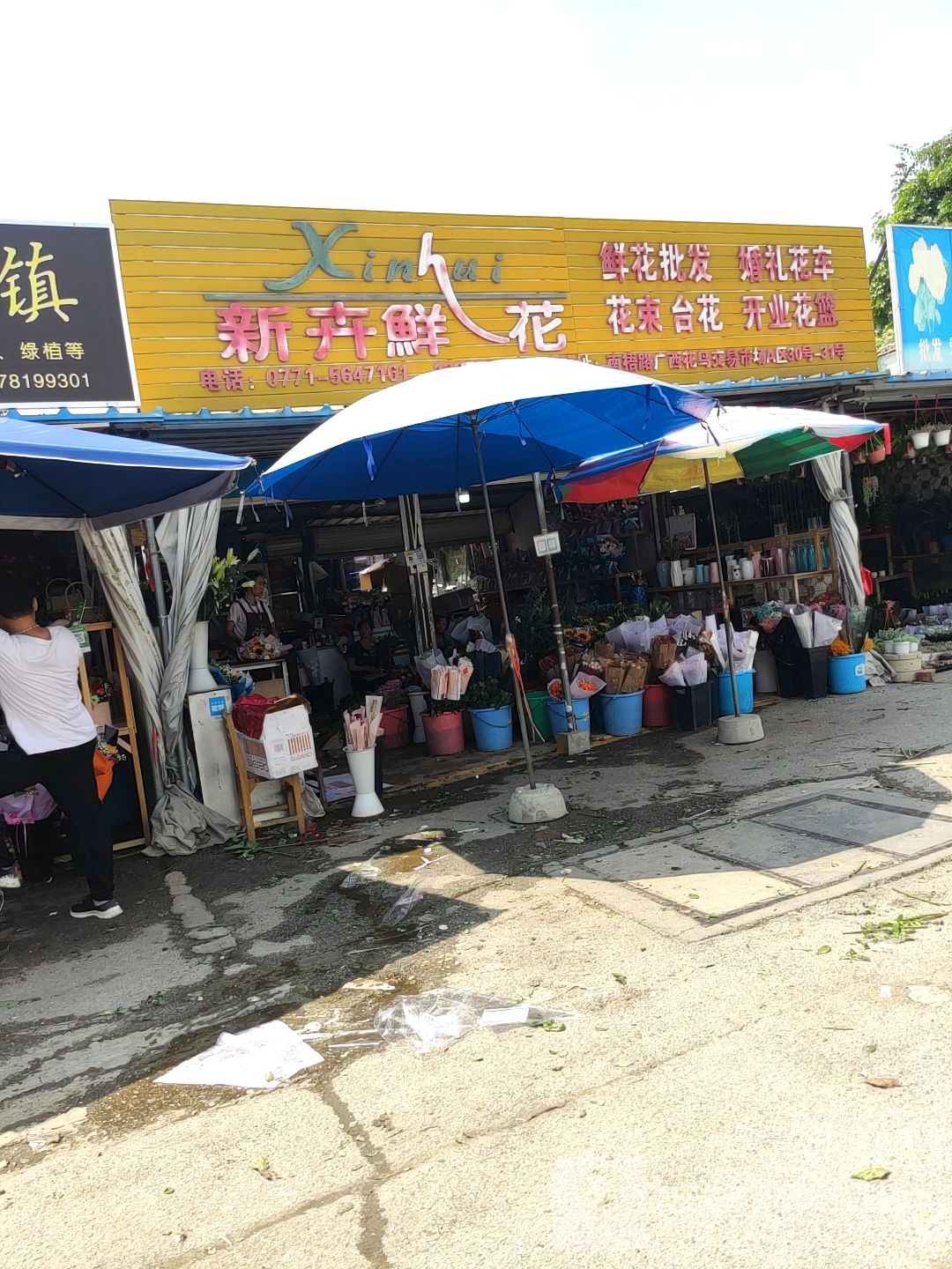 新卉鲜花(广西花鸟交易市场店)