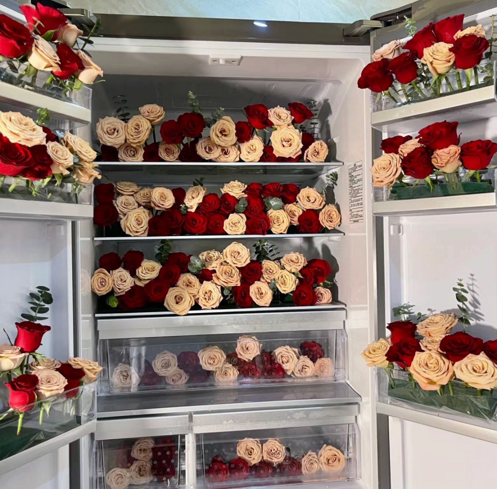 春天花房(油七店)