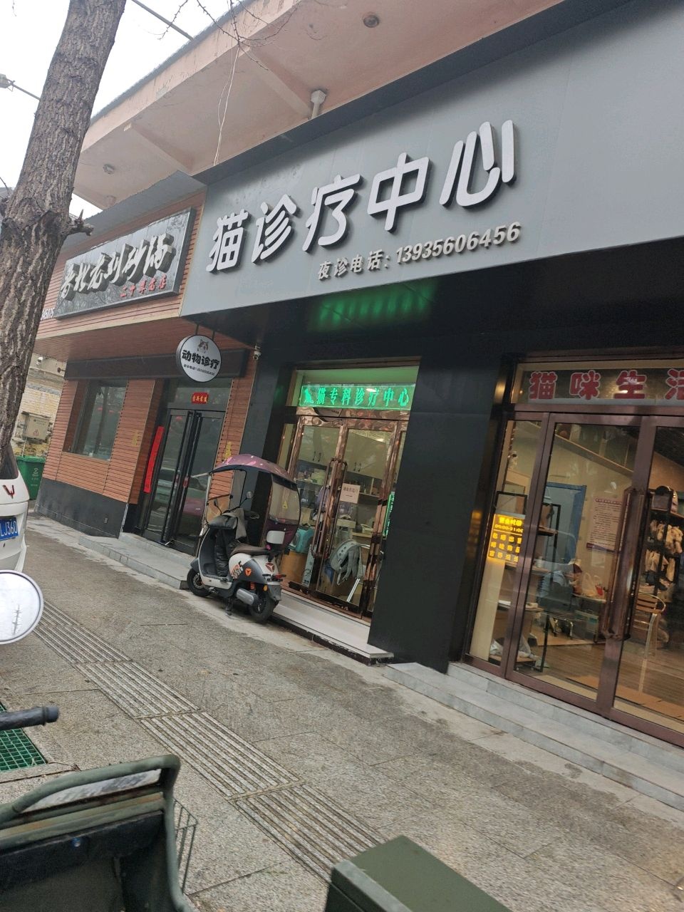 惠宠动物医院猫诊疗中心