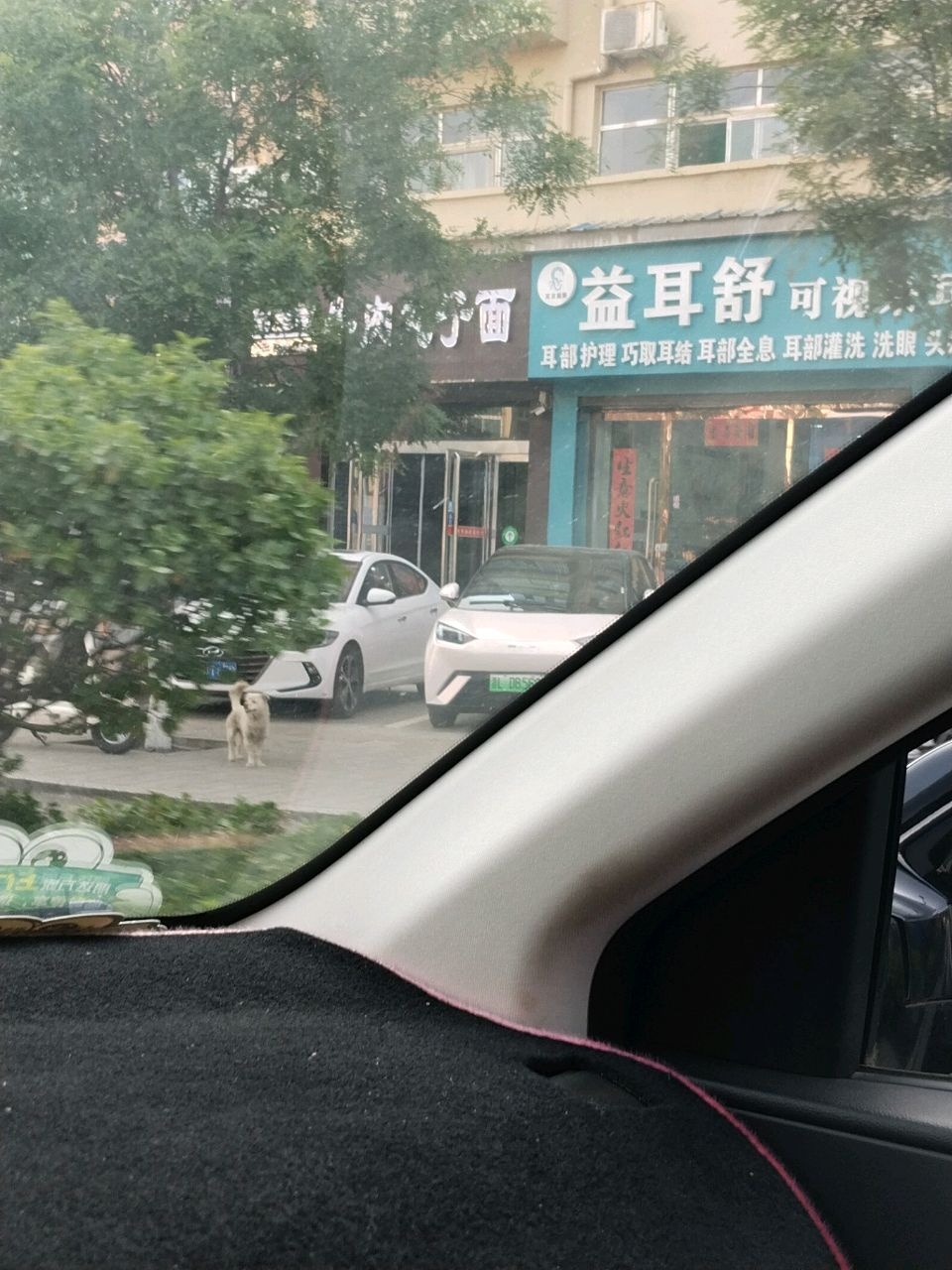益耳舒可视采耳