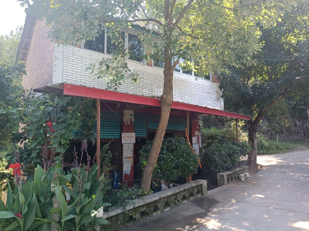 双堰塘从珍便利店