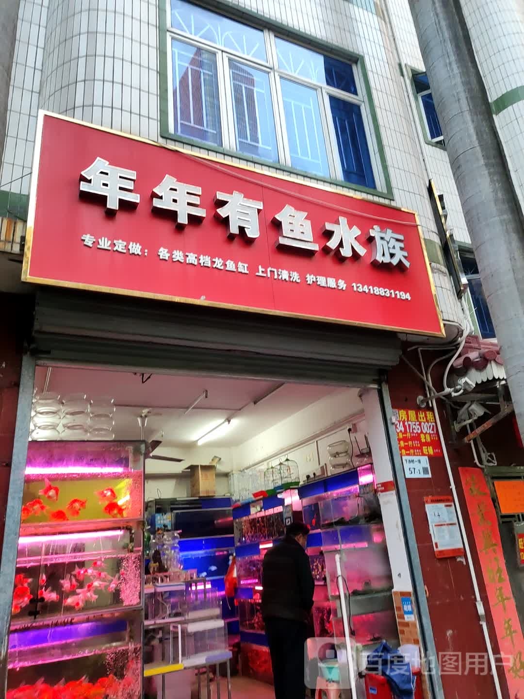 年年有鱼水族(大围路店)