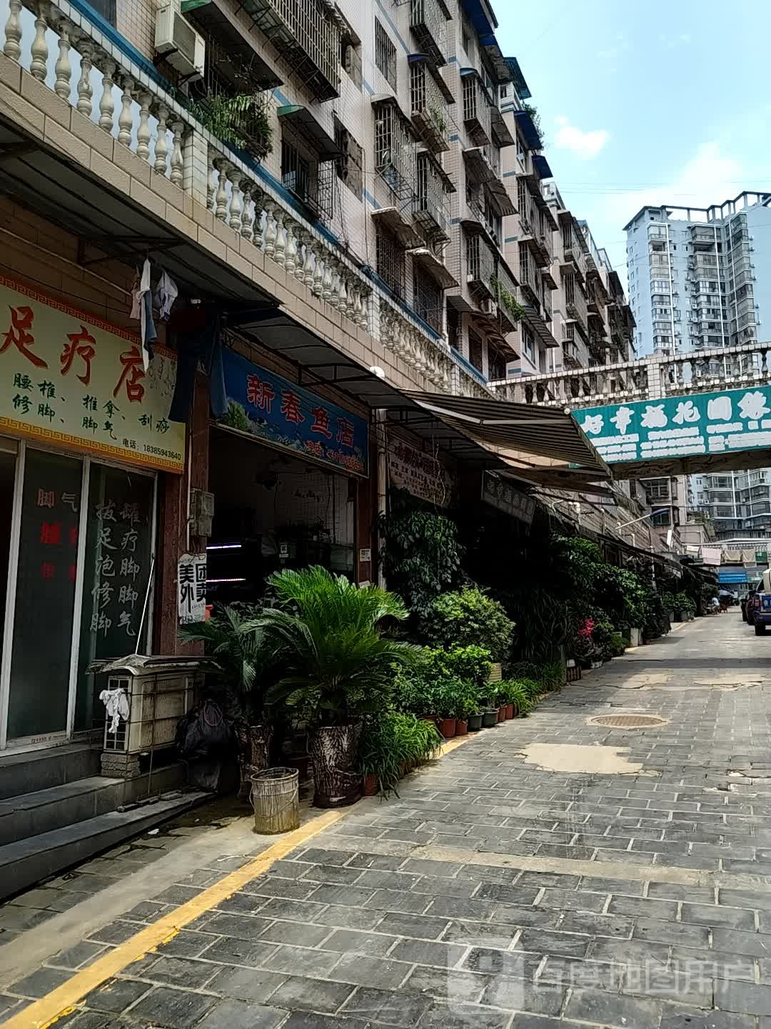 新春鱼店