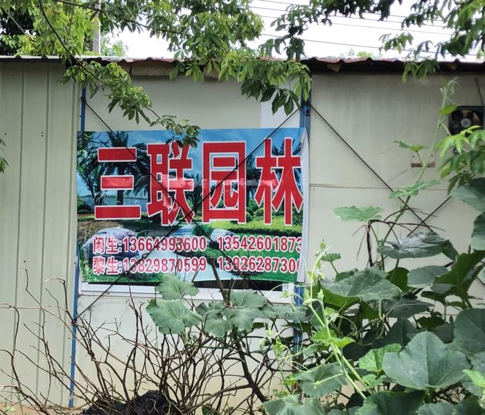 阳江市阳春市合水镇军迳三联园林