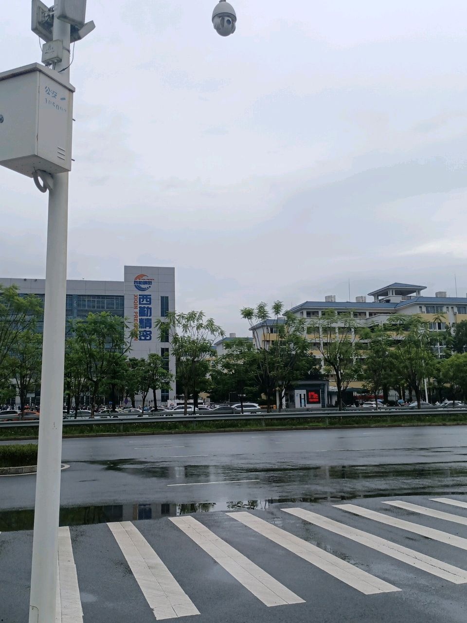 广东省西勤精密模具有限公司