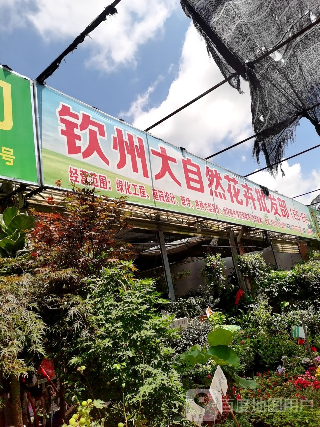 大自然花卉批发部(金海湾花鸟市场店)