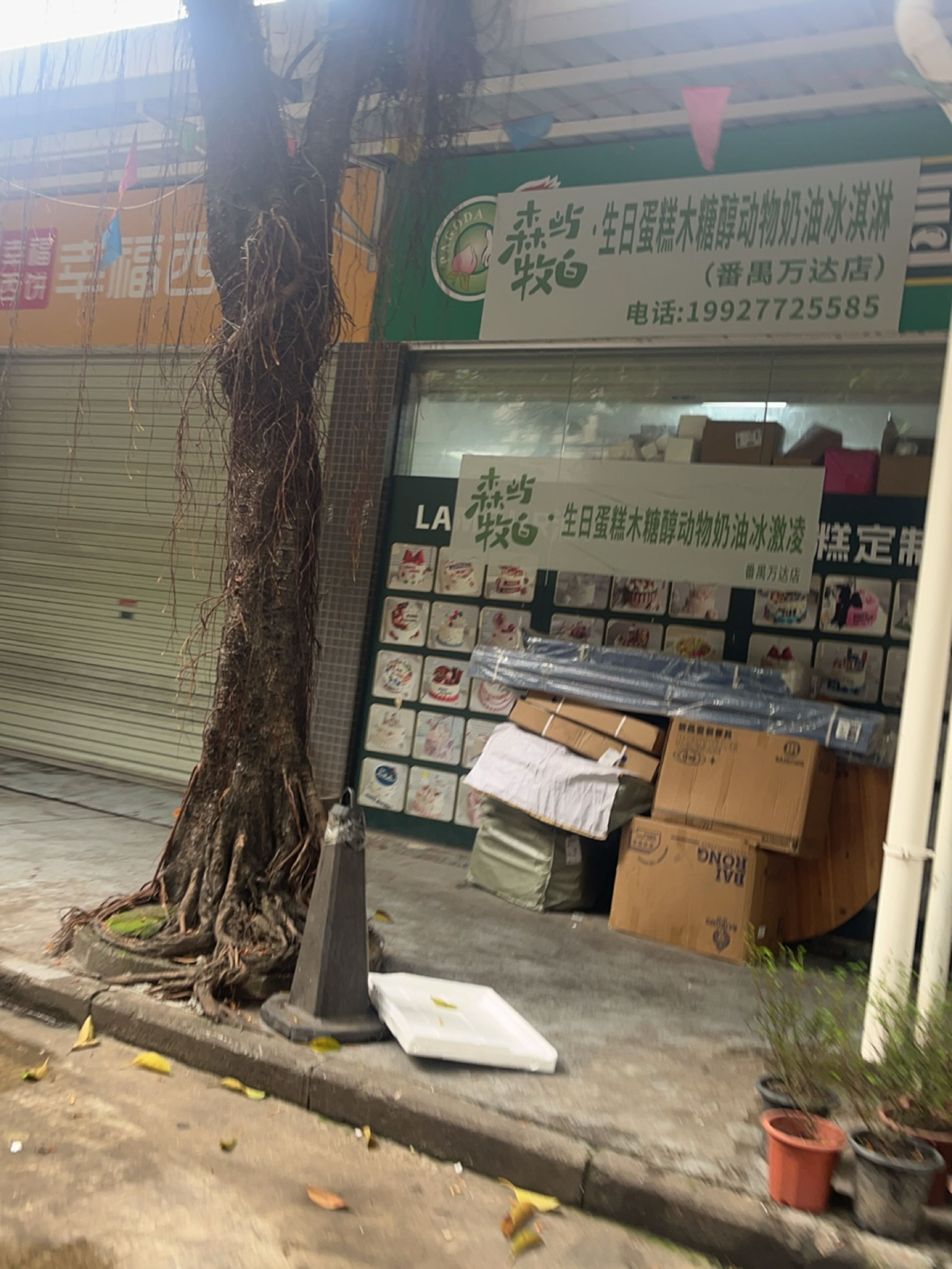 森屿牧白·生日蛋糕木糖醇动物奶油冰淇淋(番禺万达店)