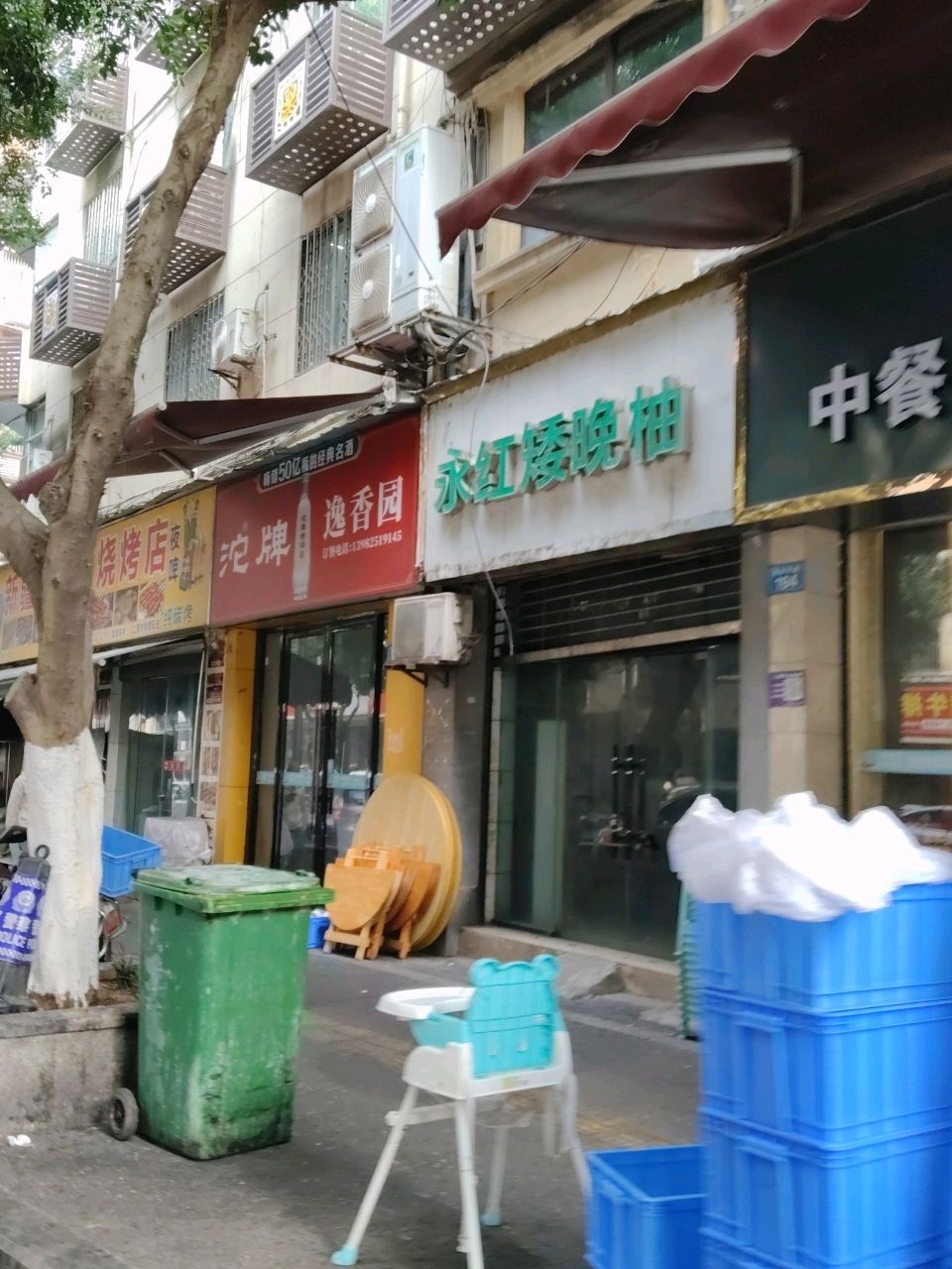永红矮晚柚