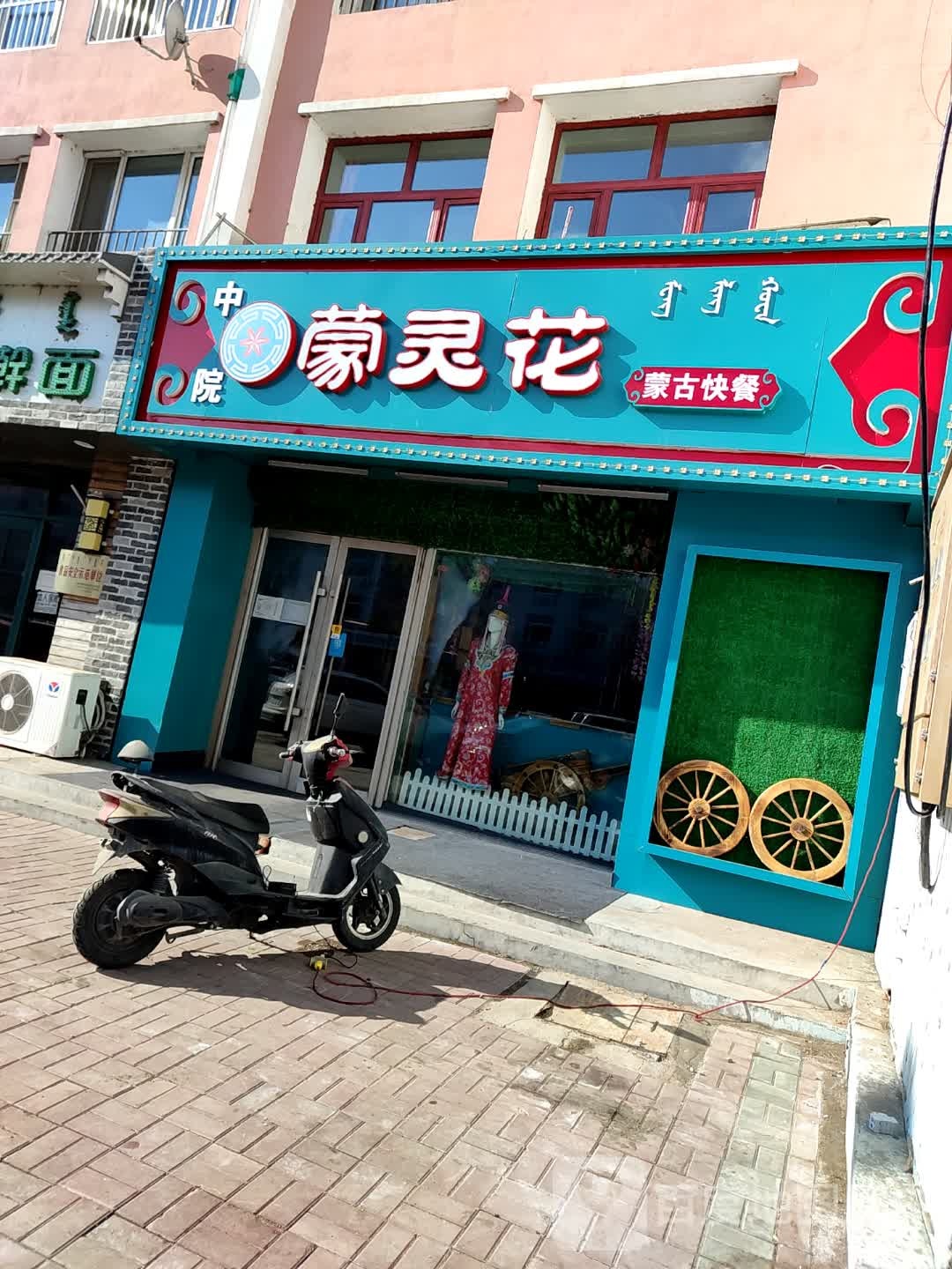 中院蒙灵花(中医院店)