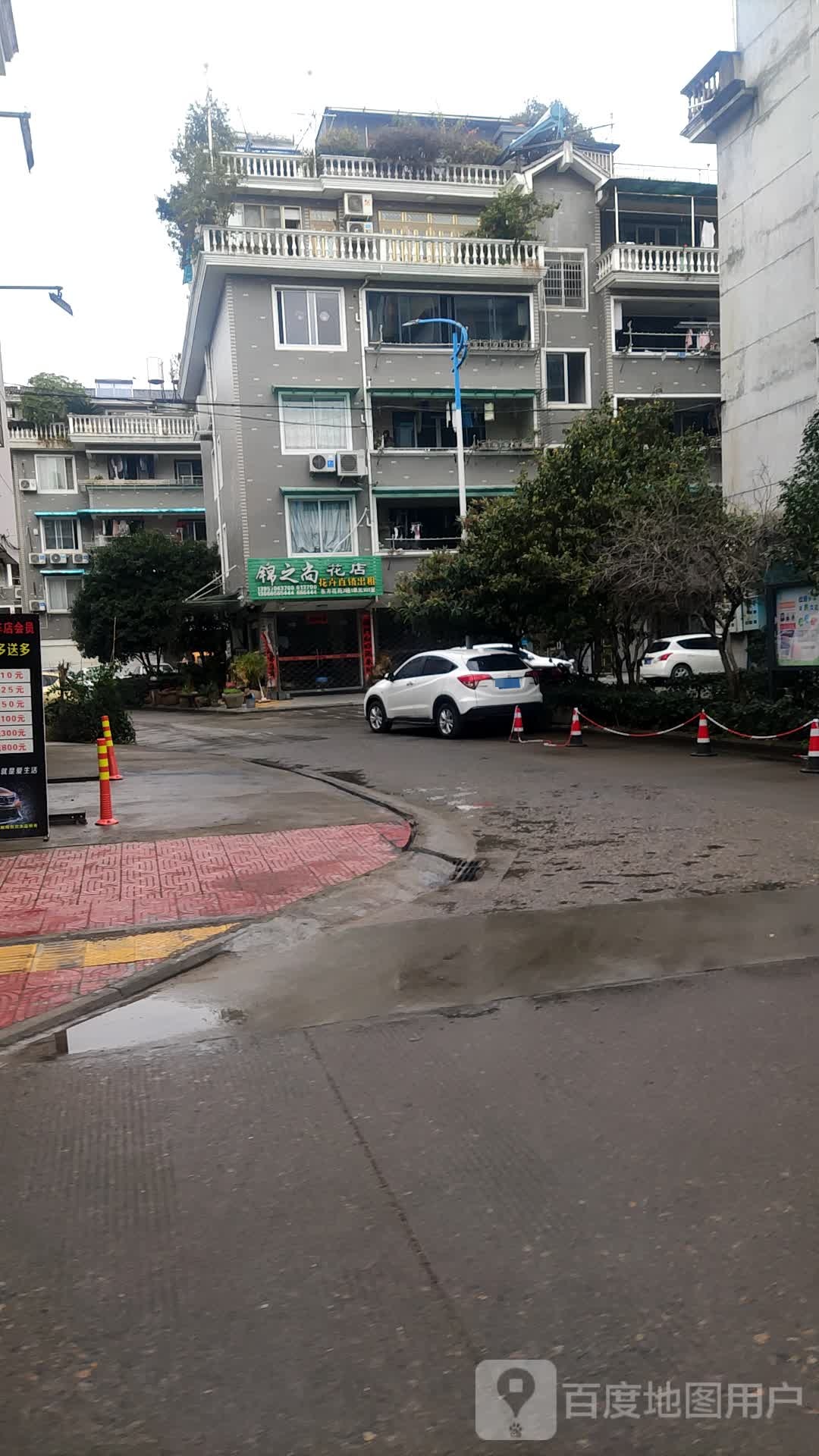锦之尚花卉