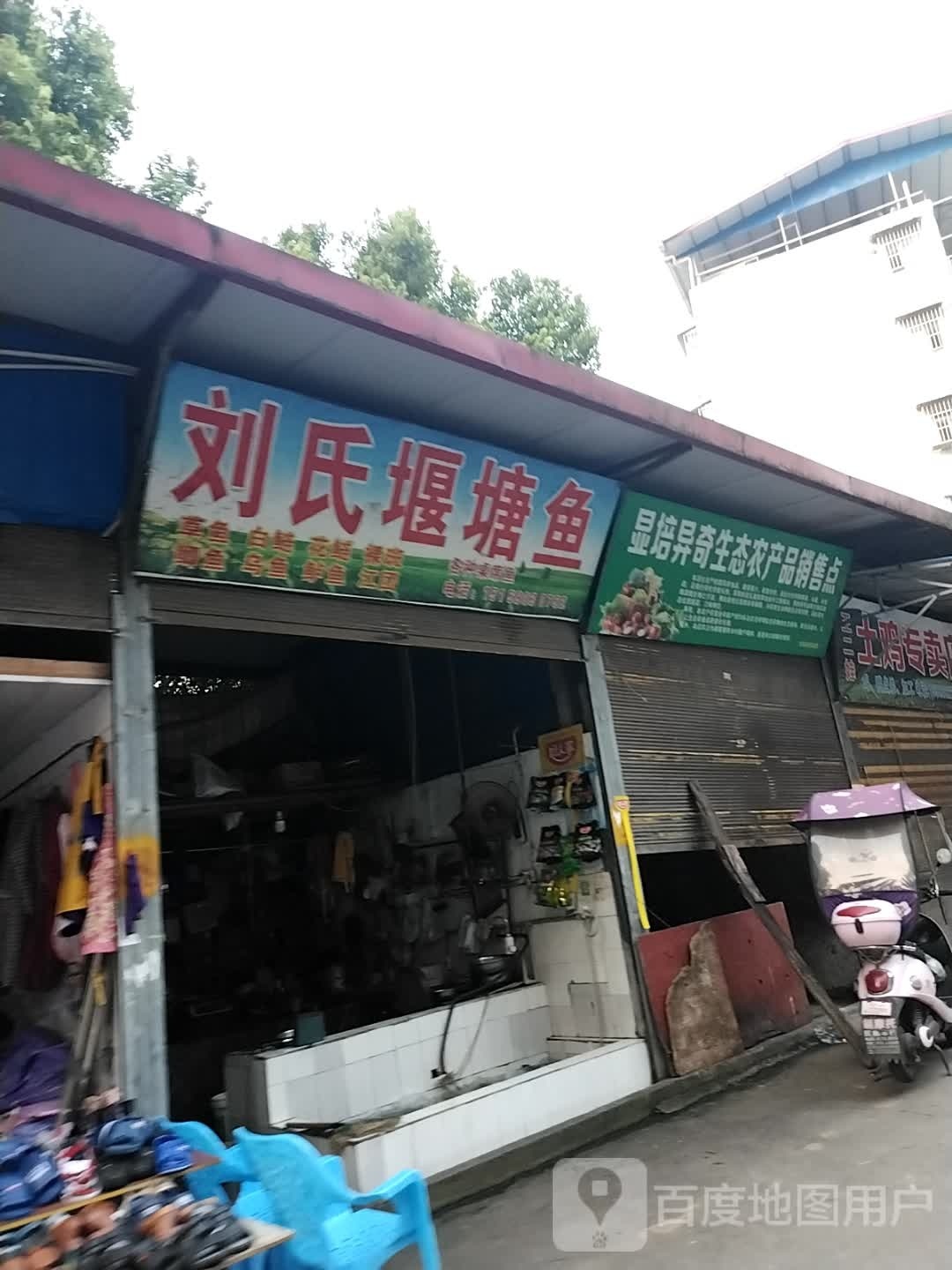 刘氏堰塘鱼
