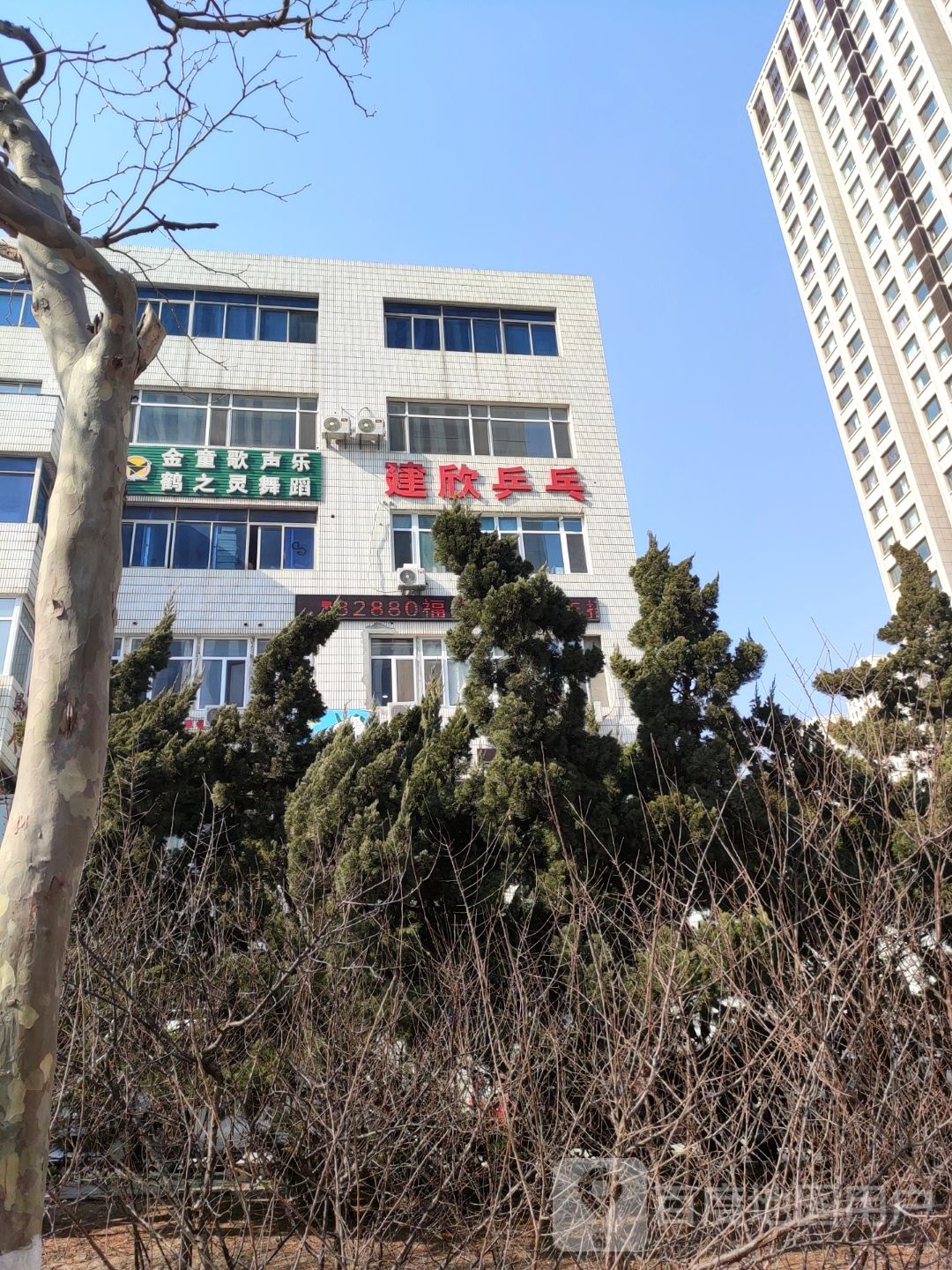 建欣乒乓(高新区店)