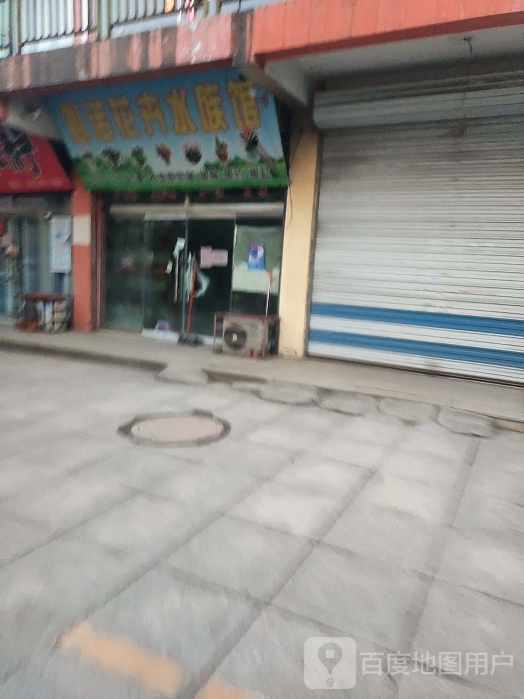 心诺花卉水族馆(建宇商城店)