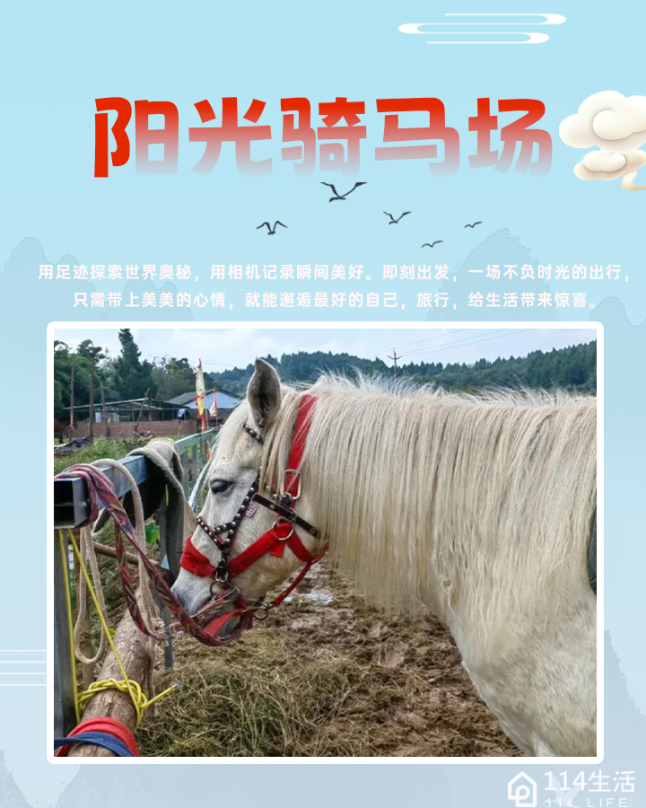 阳光骑马场