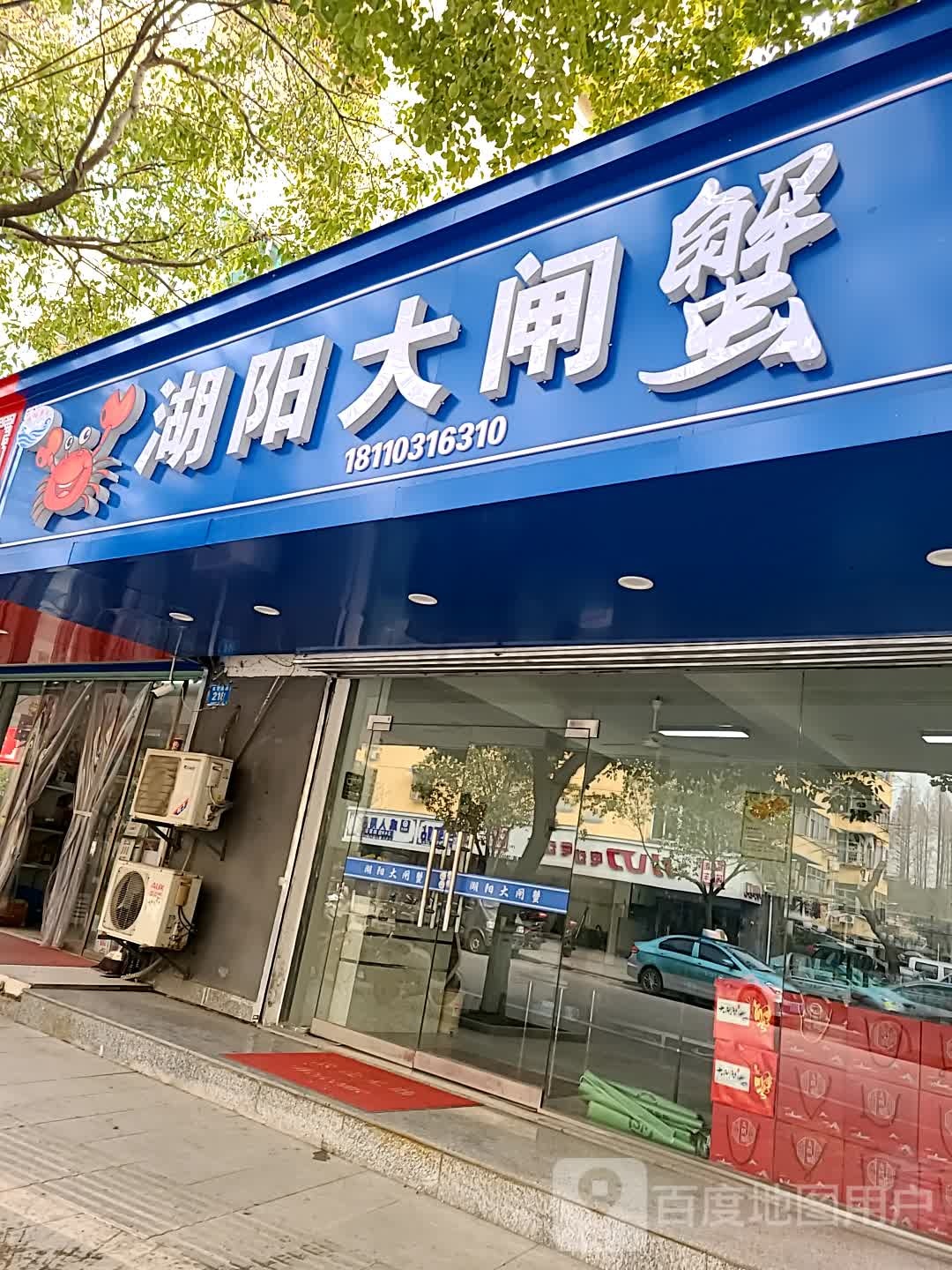 湖阳大甲蟹