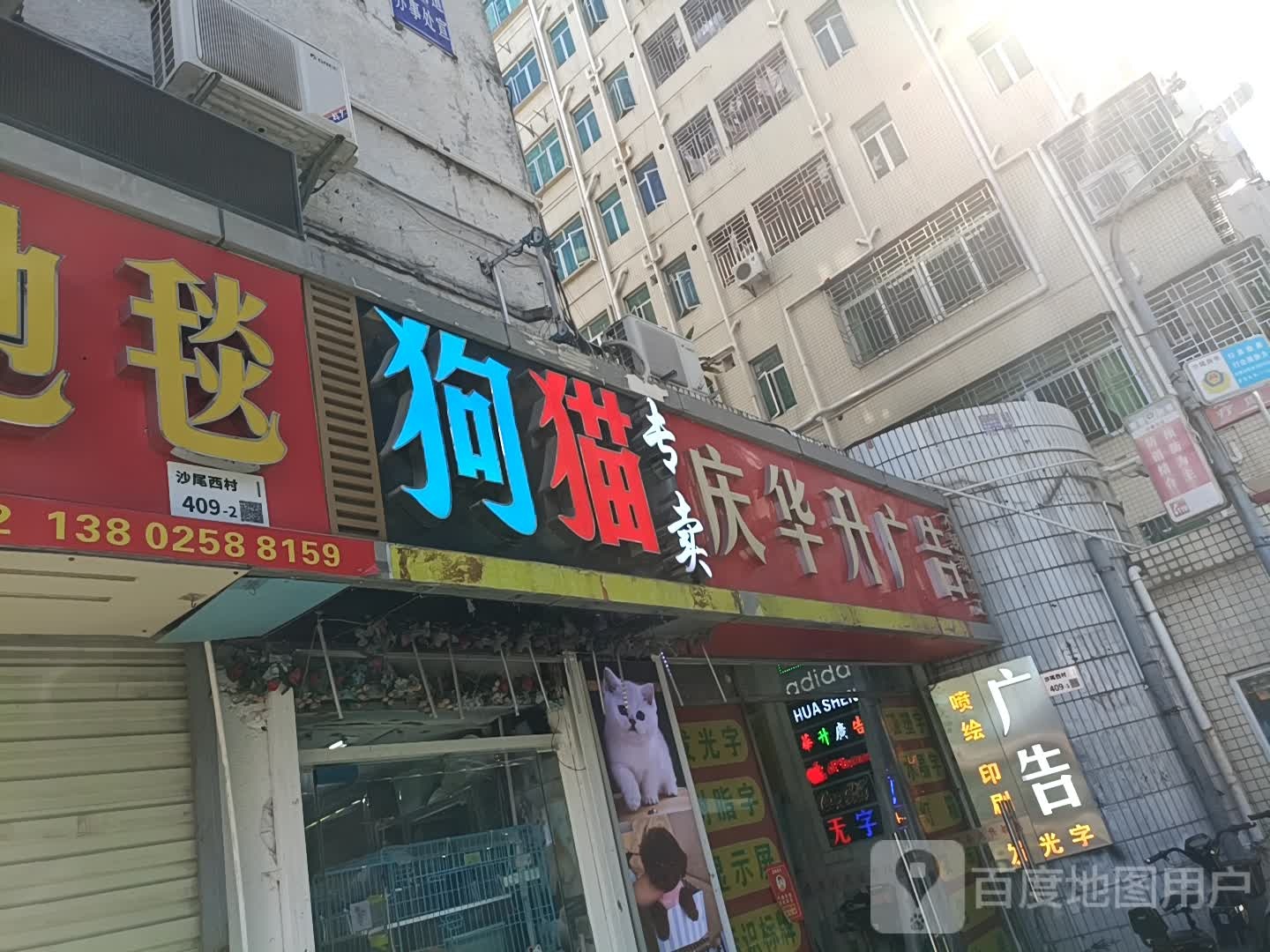 狗猫专卖宠物店