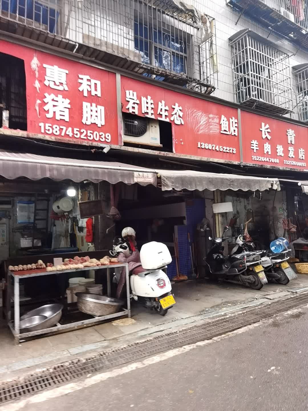 岩哇生态