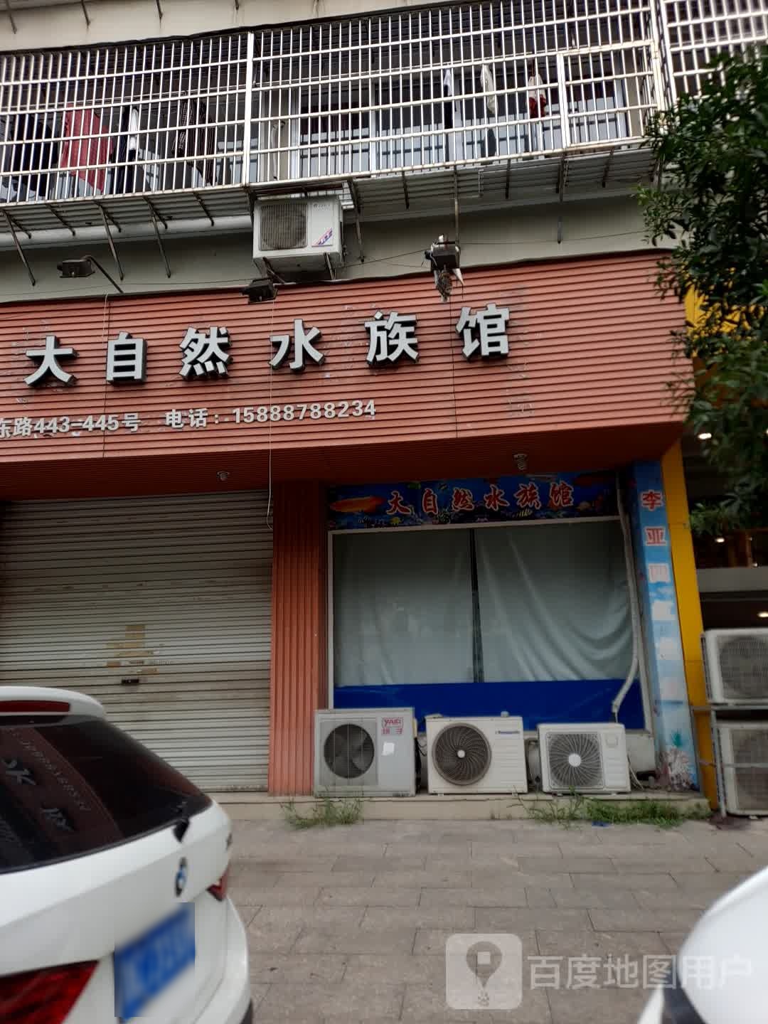 大区自然水族(曙东路店)