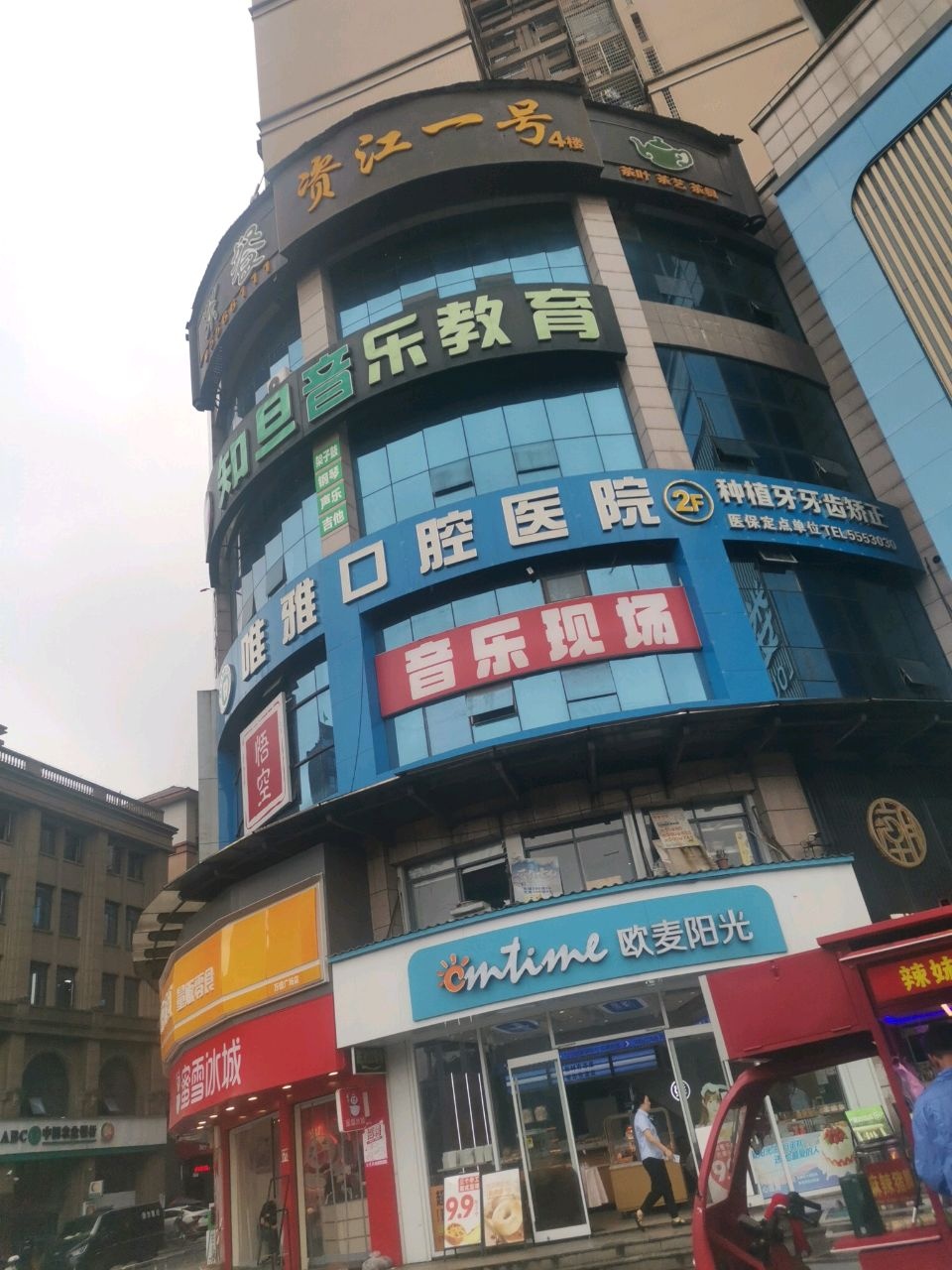 海顿音乐教育