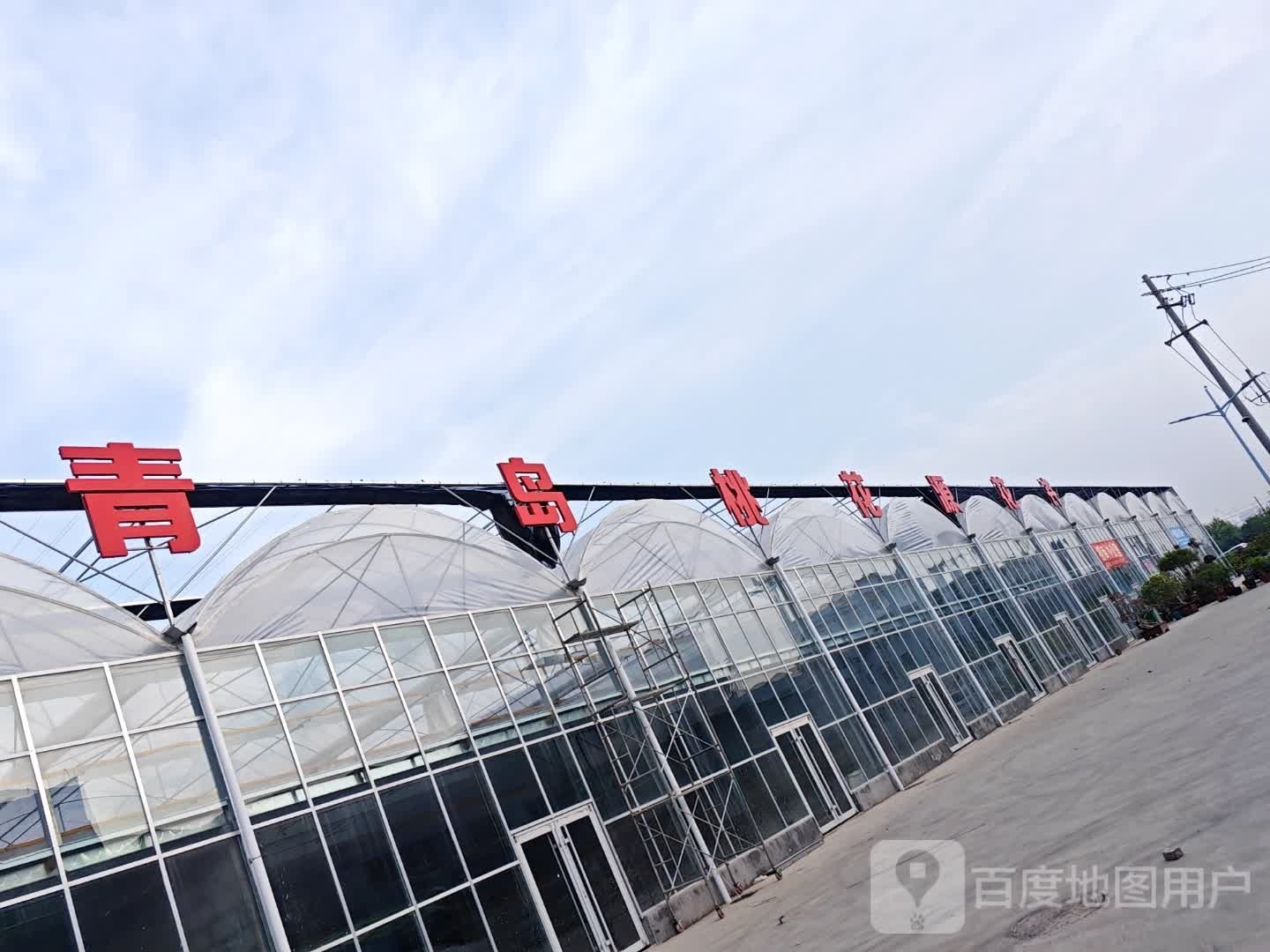 青岛桃花源花卉市场