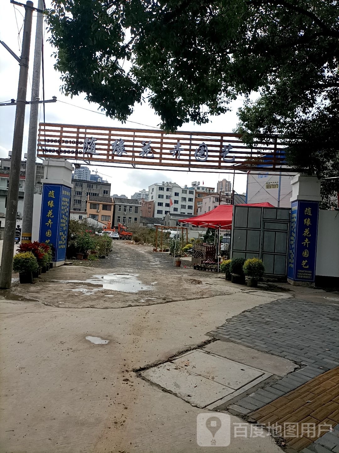 随缘花卉园艺