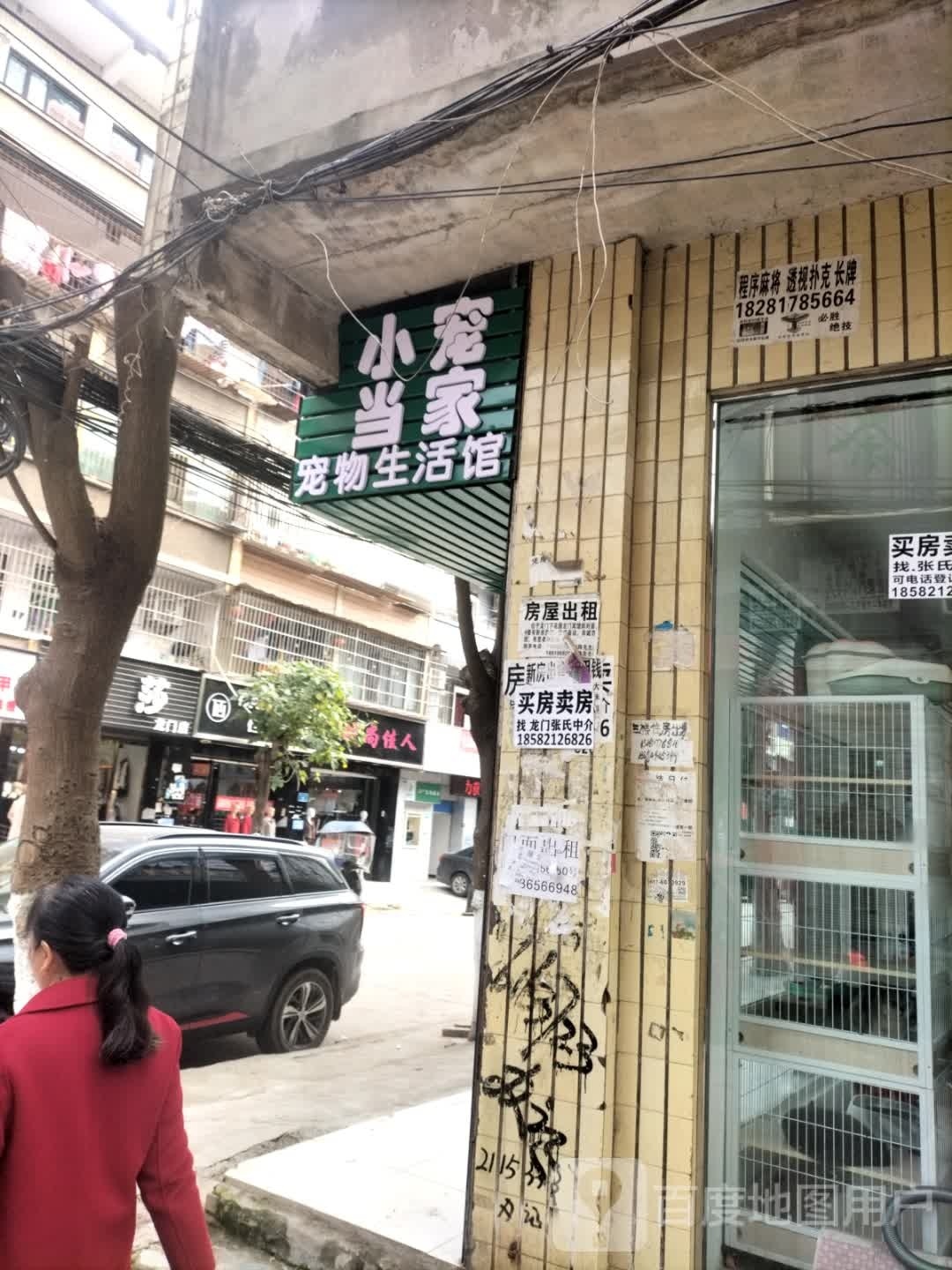 小宠当家宠物生活会馆