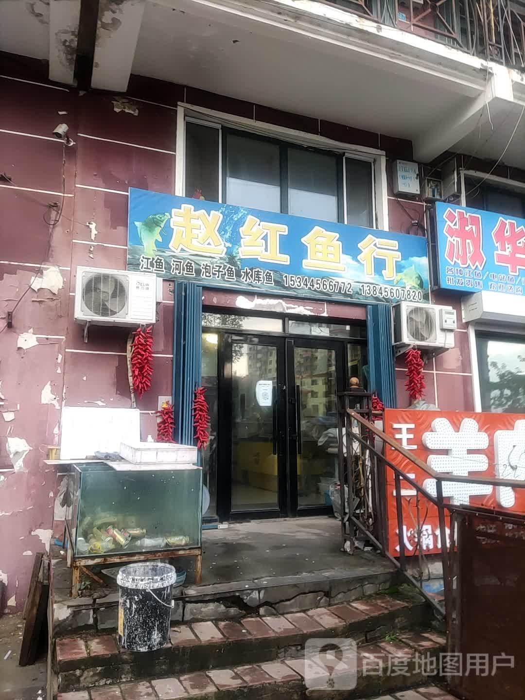 赵红鱼行