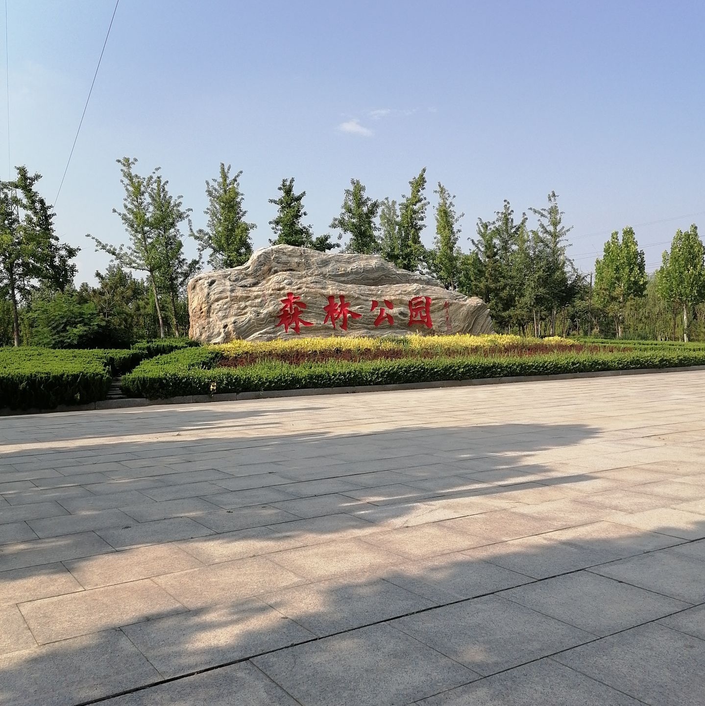 森林公园