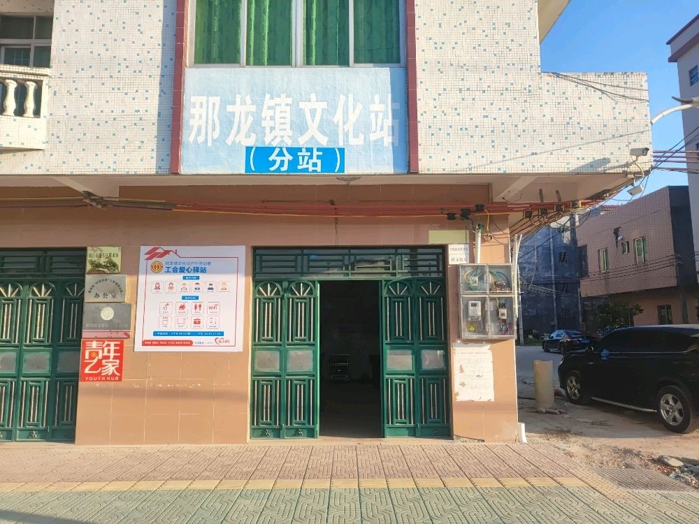 阳江市阳东区那龙镇文化站
