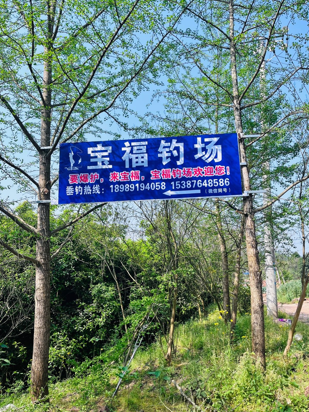 宝福钓场