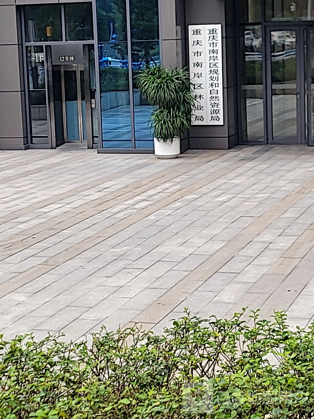 重庆市南岸区规划和自然资源局